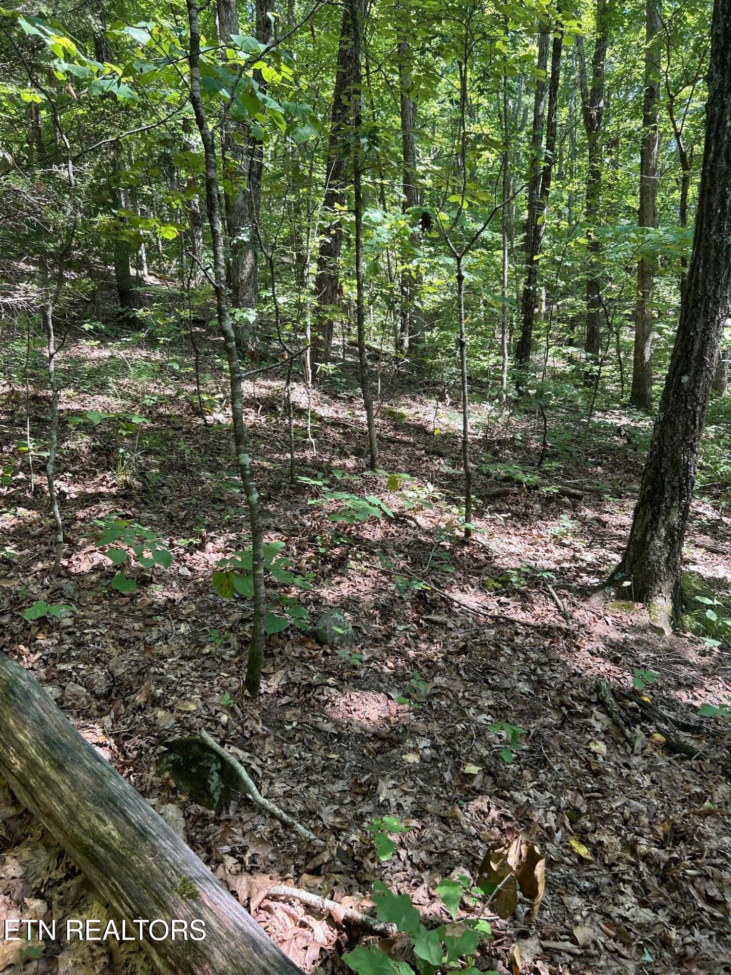 Laurel Mountain Circle Madisonville TN 37354