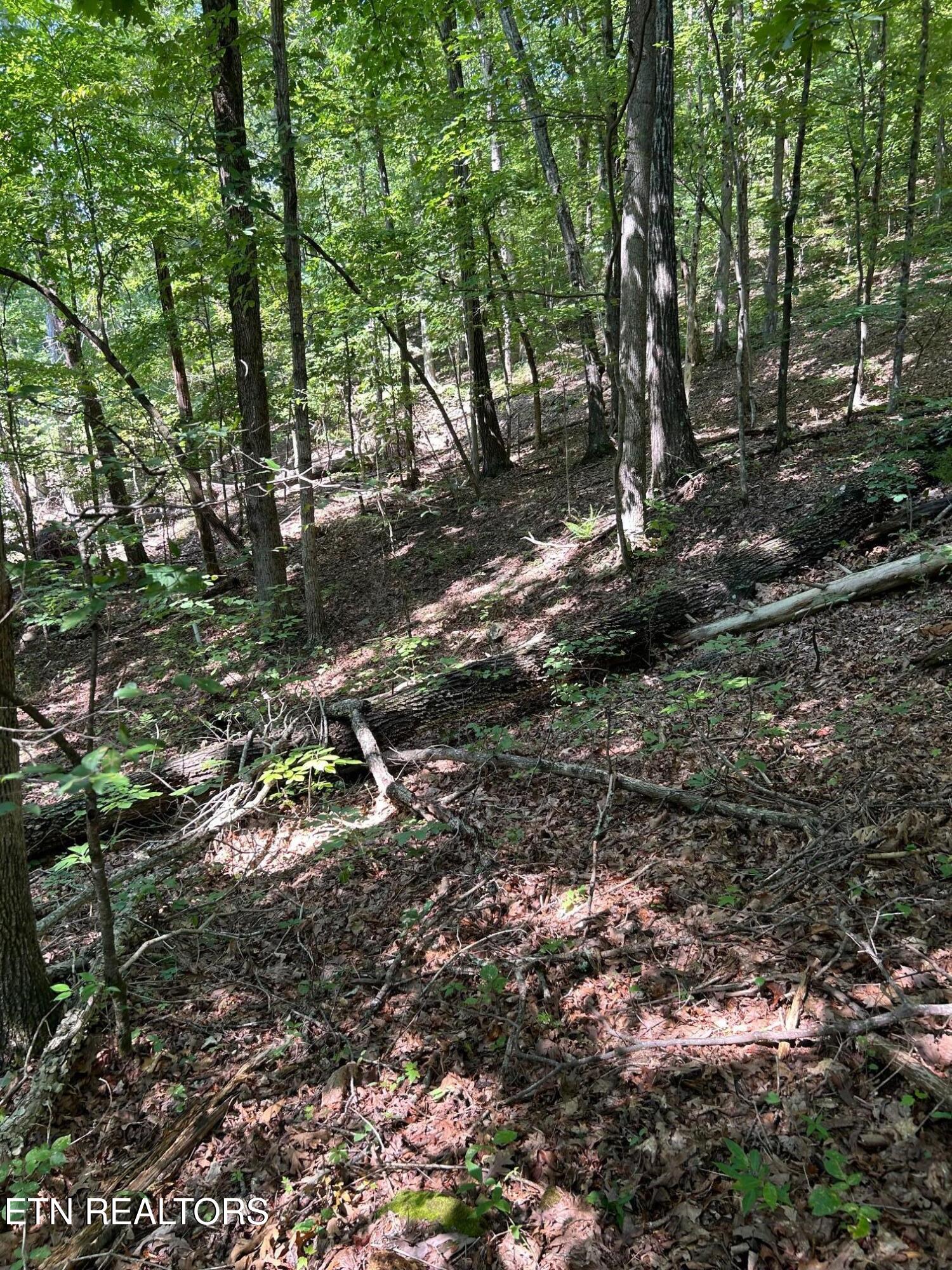 Laurel Mountain Circle Madisonville TN 37354