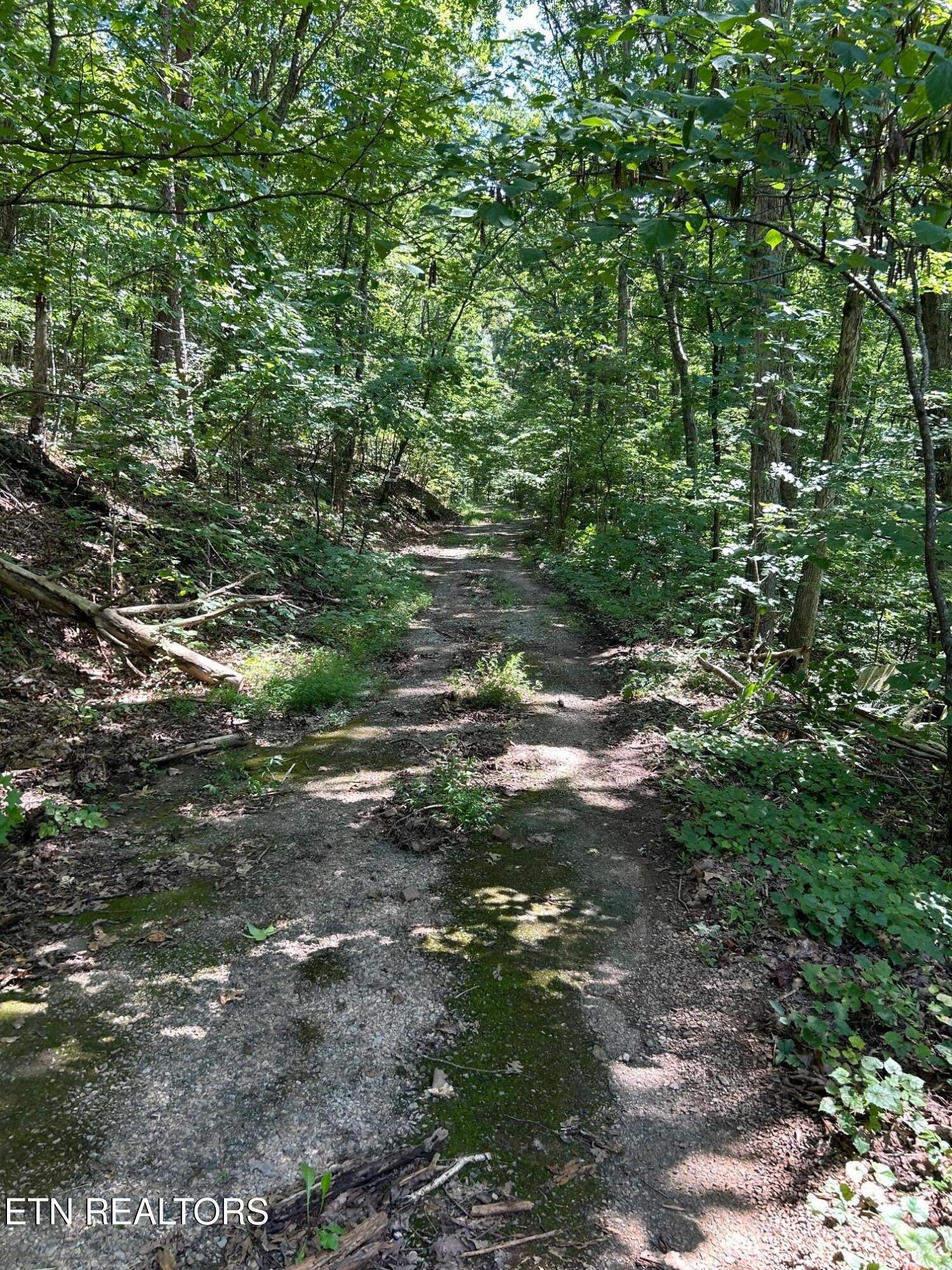 Laurel Mountain Circle Madisonville TN 37354