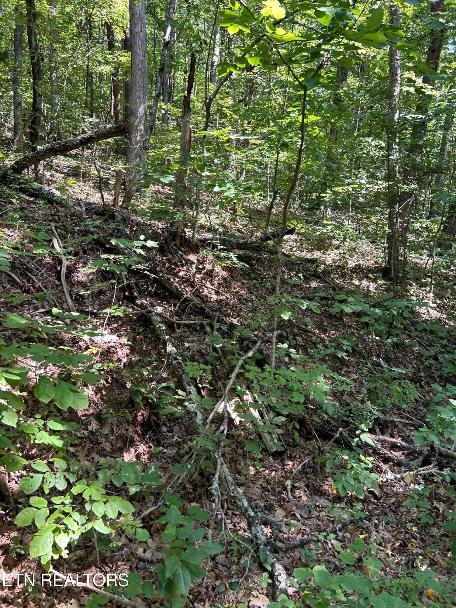 Laurel Mountain Circle Madisonville TN 37354