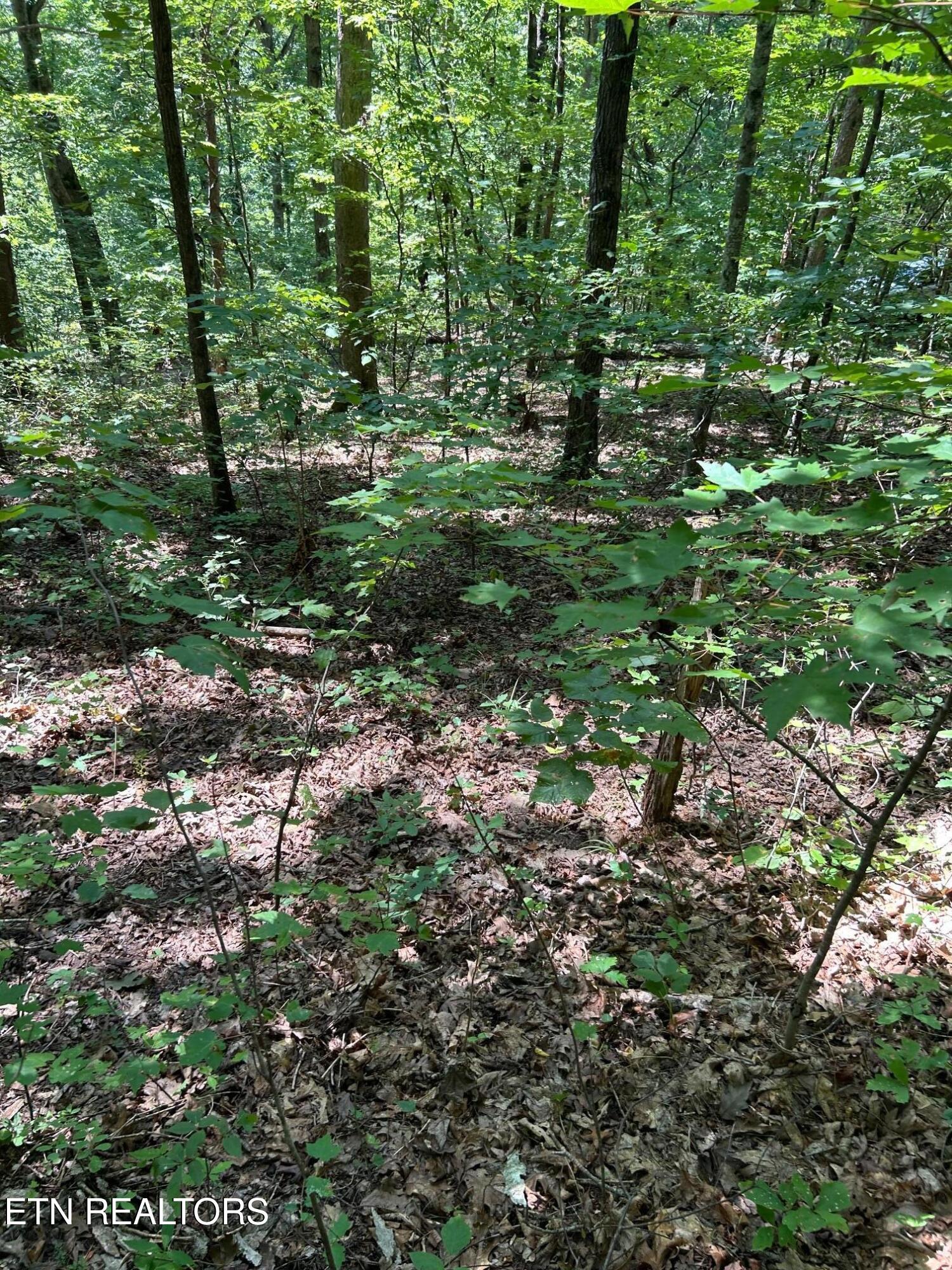 Laurel Mountain Circle Madisonville TN 37354