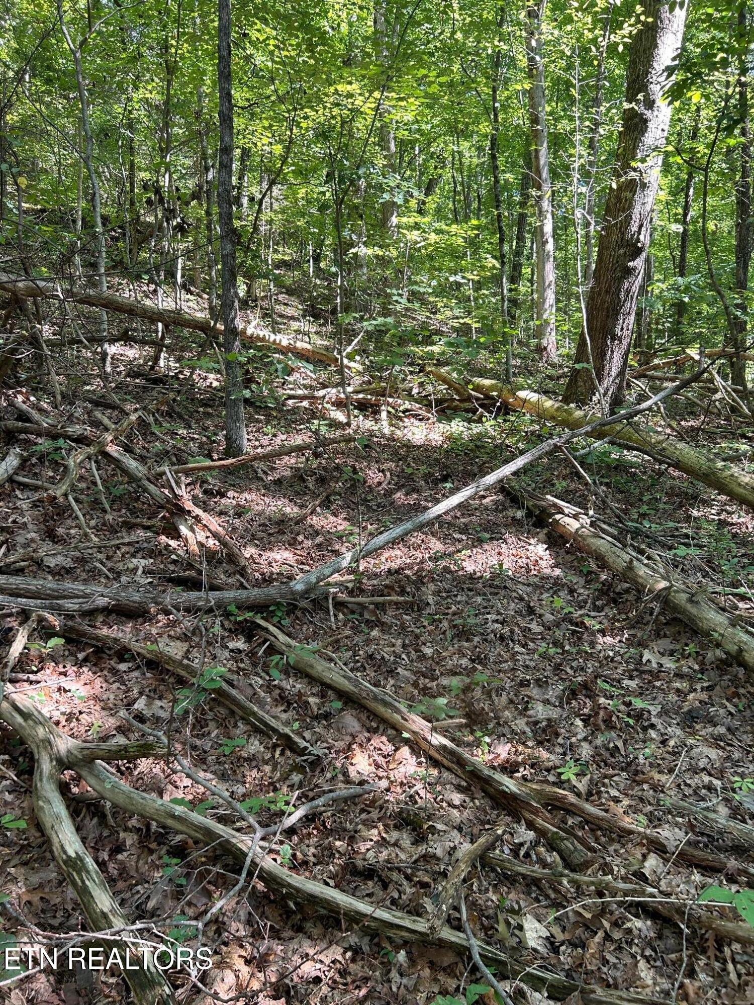 Laurel Mountain Circle Madisonville TN 37354