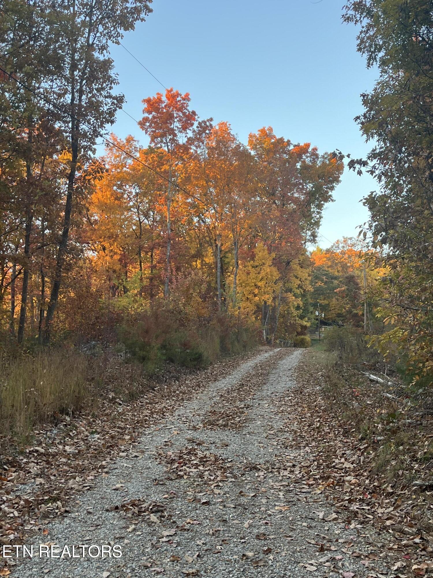 27.42 Ac Black Mountain Road Tellico Plains TN 37385