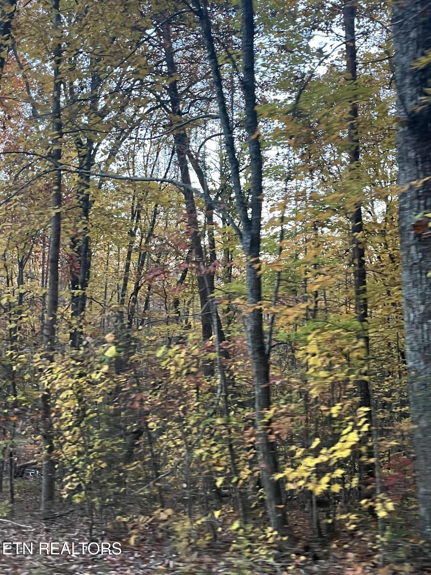 27.42 Ac Black Mountain Road Tellico Plains TN 37385