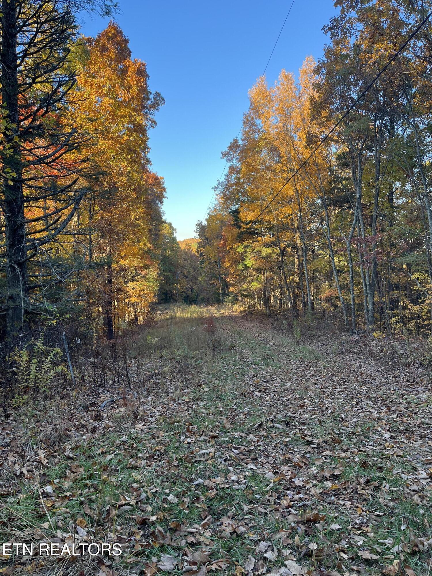 27.42 Ac Black Mountain Road Tellico Plains TN 37385