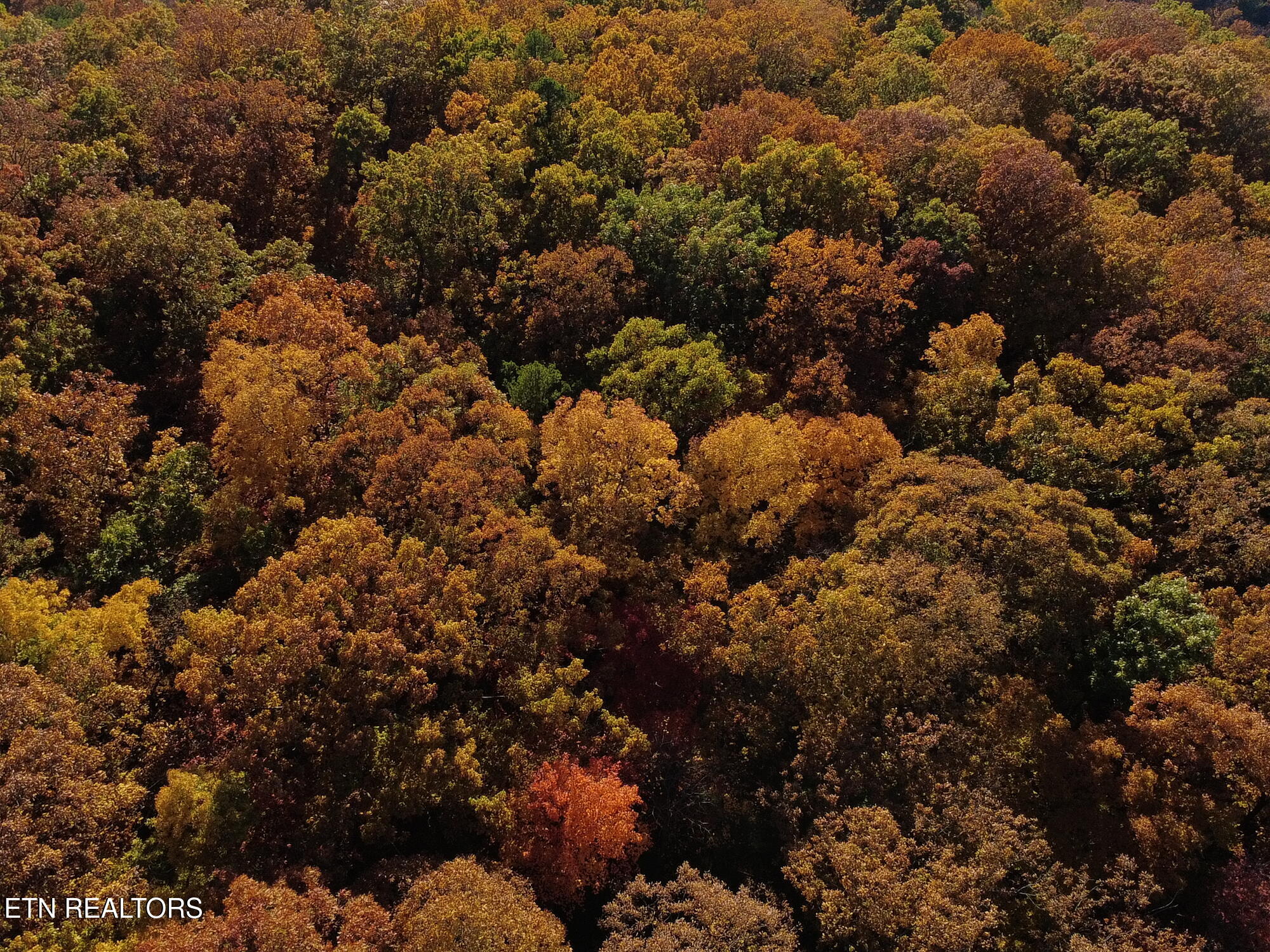 27.42 Ac Black Mountain Road Tellico Plains TN 37385