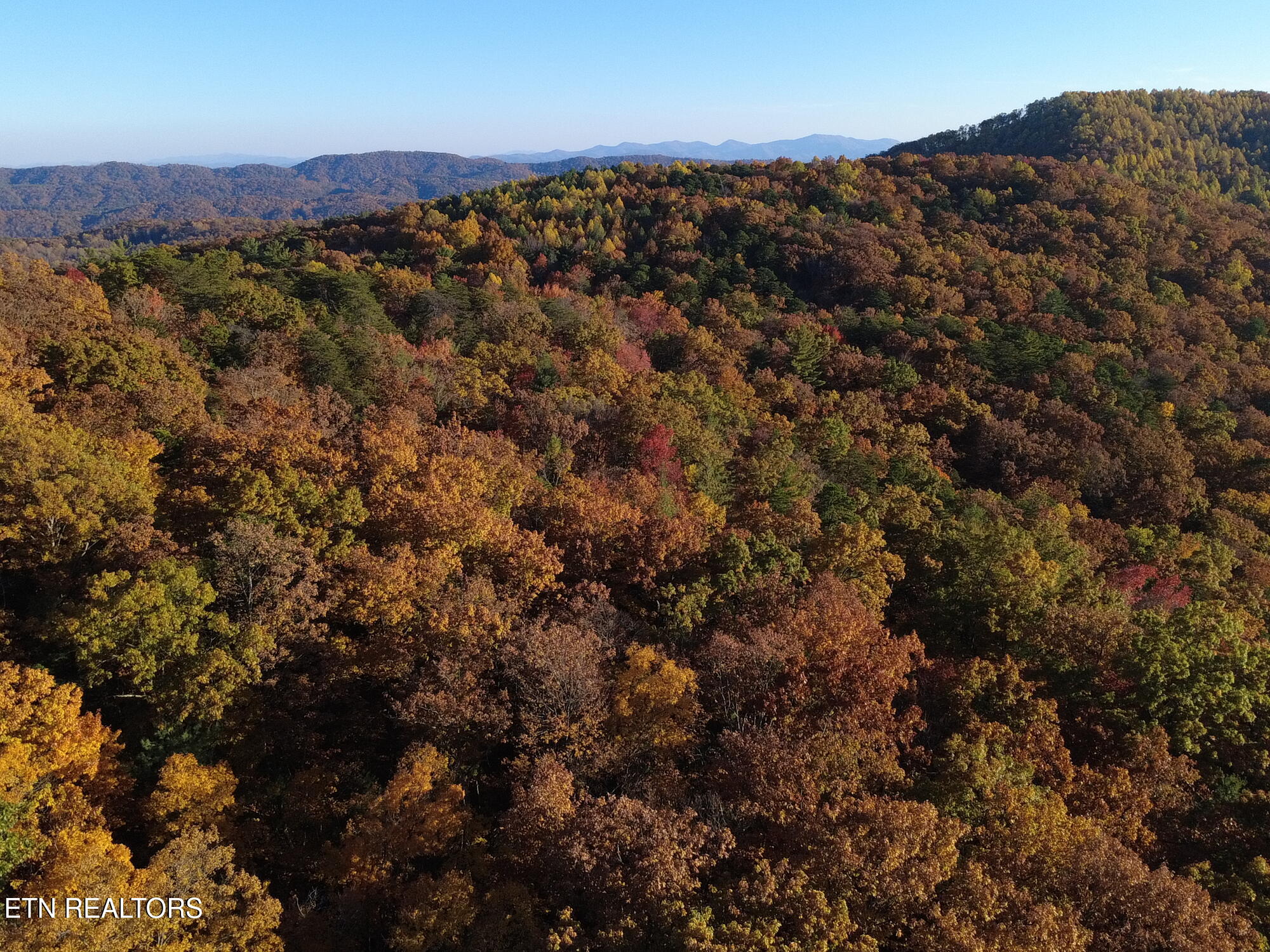 27.42 Ac Black Mountain Road Tellico Plains TN 37385