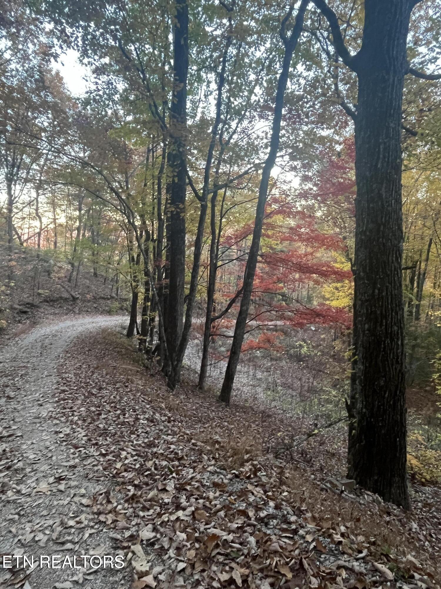 27.42 Ac Black Mountain Road Tellico Plains TN 37385