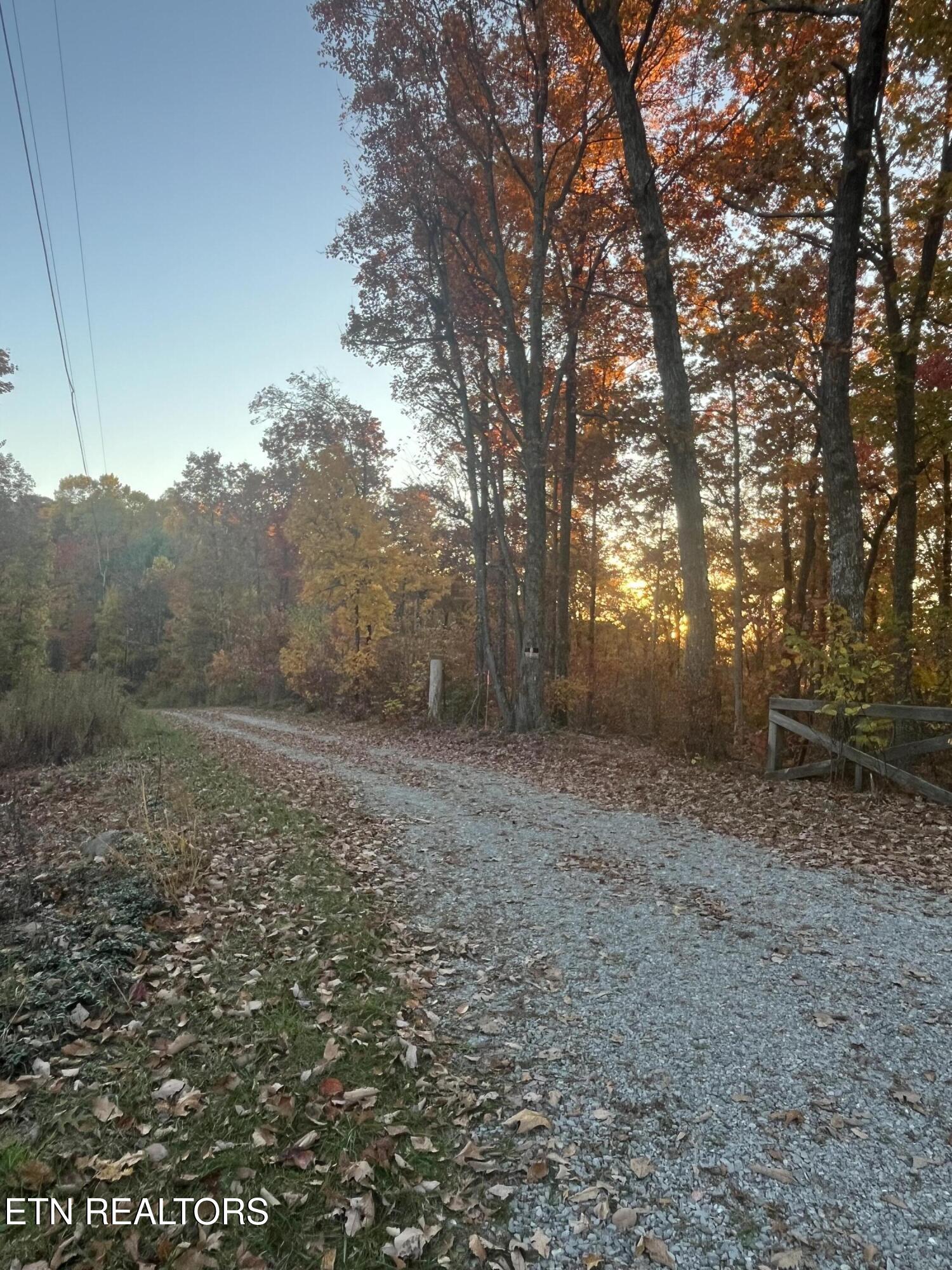 27.42 Ac Black Mountain Road Tellico Plains TN 37385