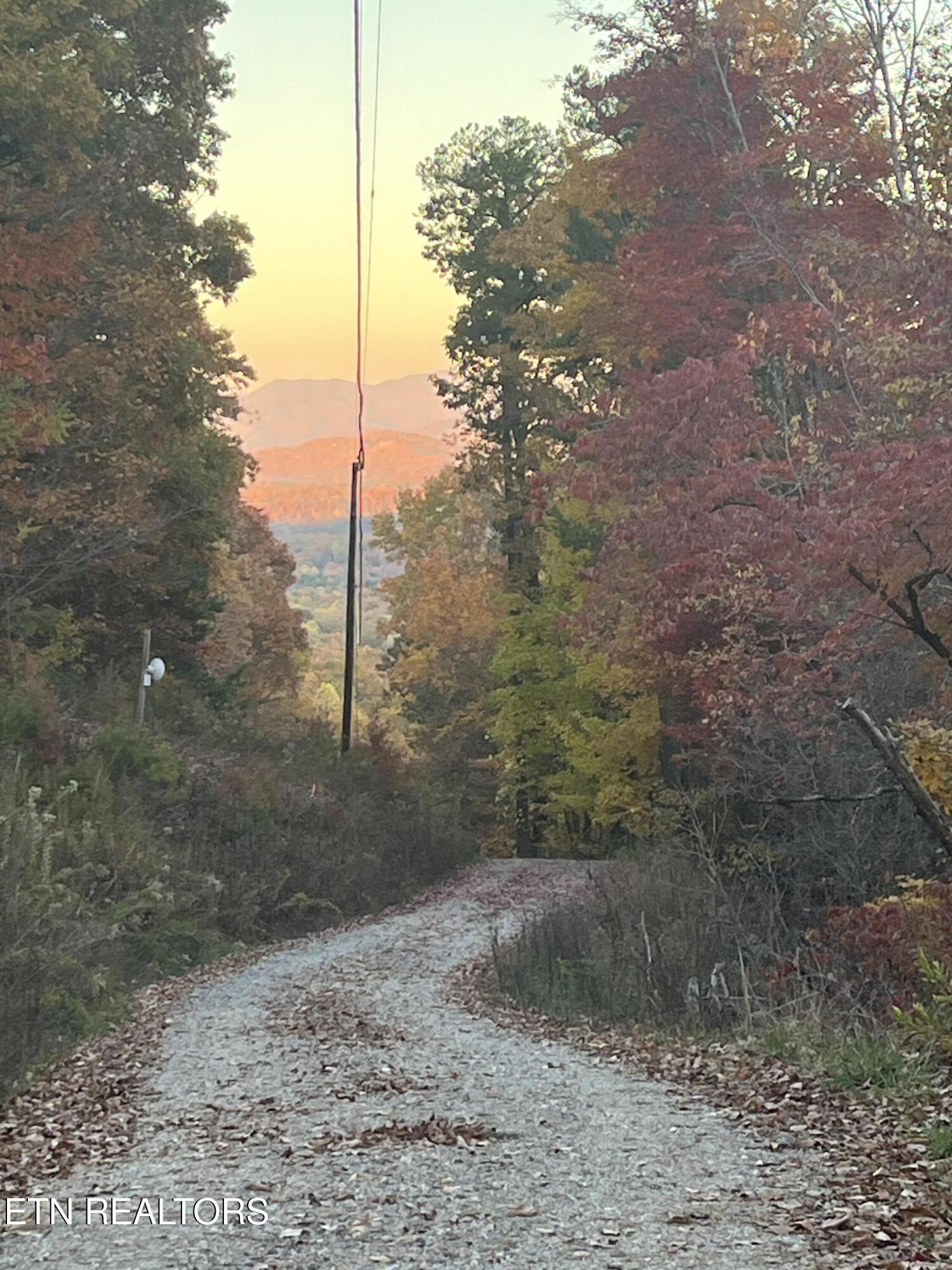 27.42 Ac Black Mountain Road Tellico Plains TN 37385