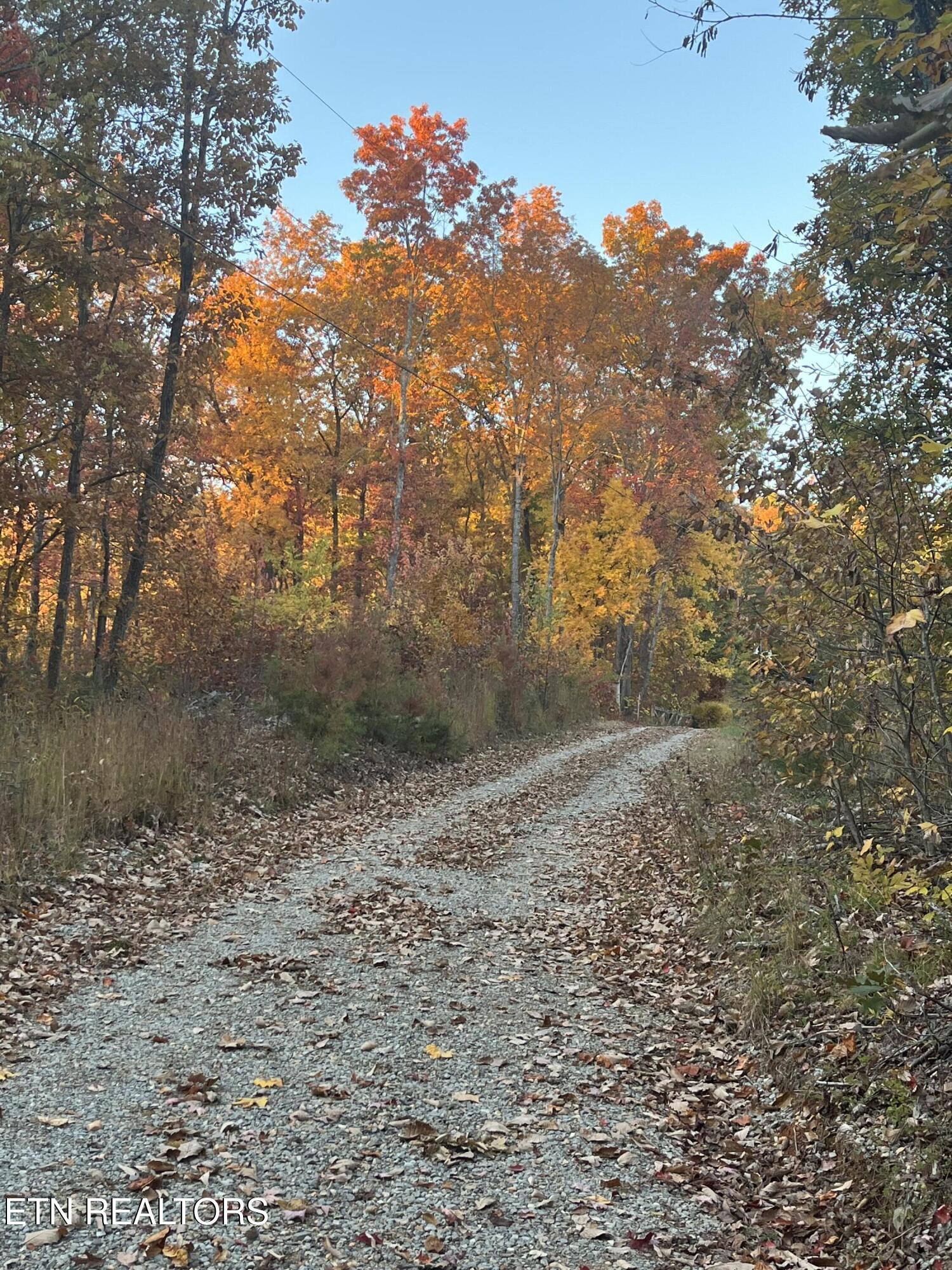 27.42 Ac Black Mountain Road Tellico Plains TN 37385