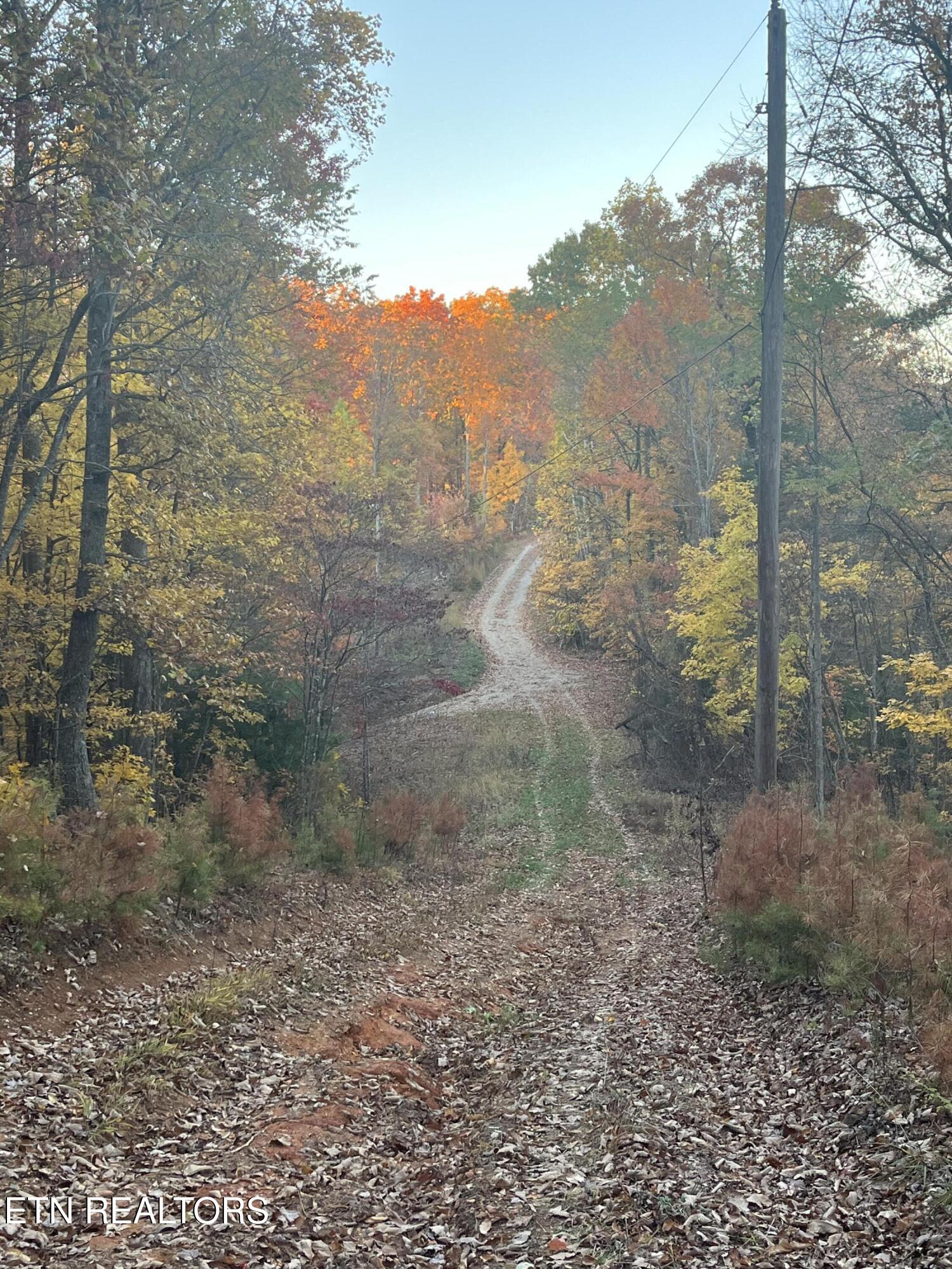 27.42 Ac Black Mountain Road Tellico Plains TN 37385