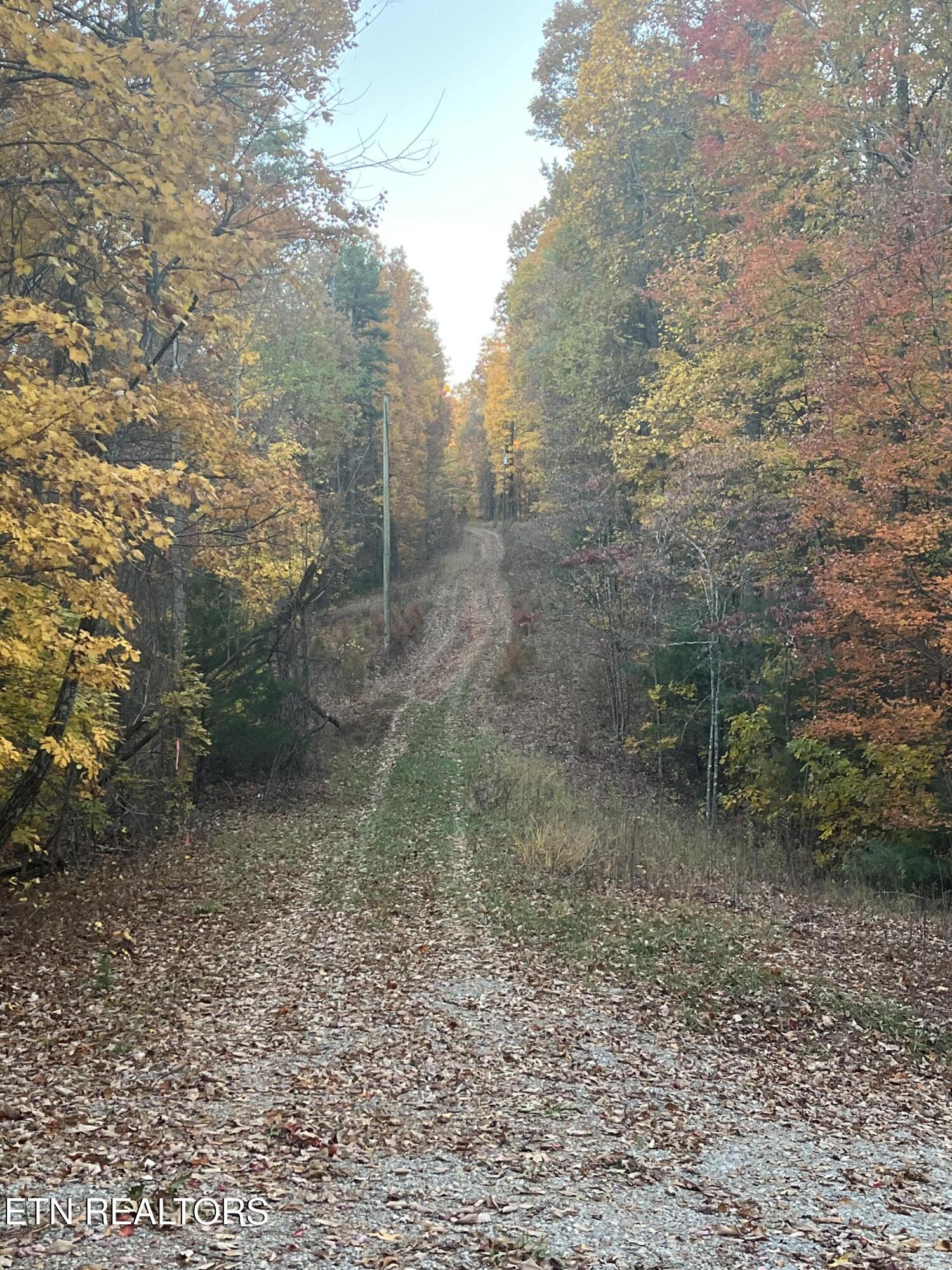 27.42 Ac Black Mountain Road Tellico Plains TN 37385