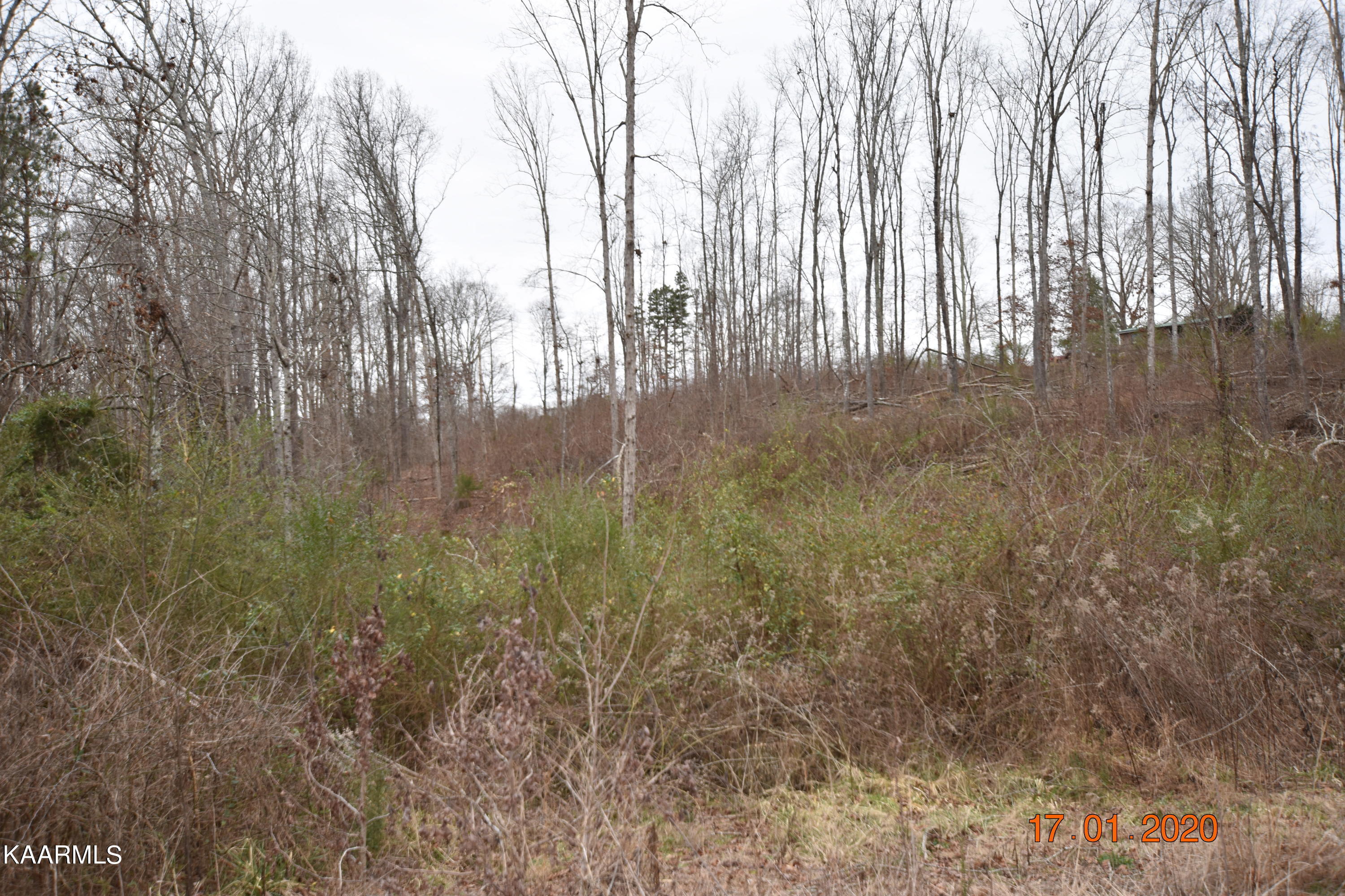 Lot 3 Maple Grove Road Ten Mile TN 37880