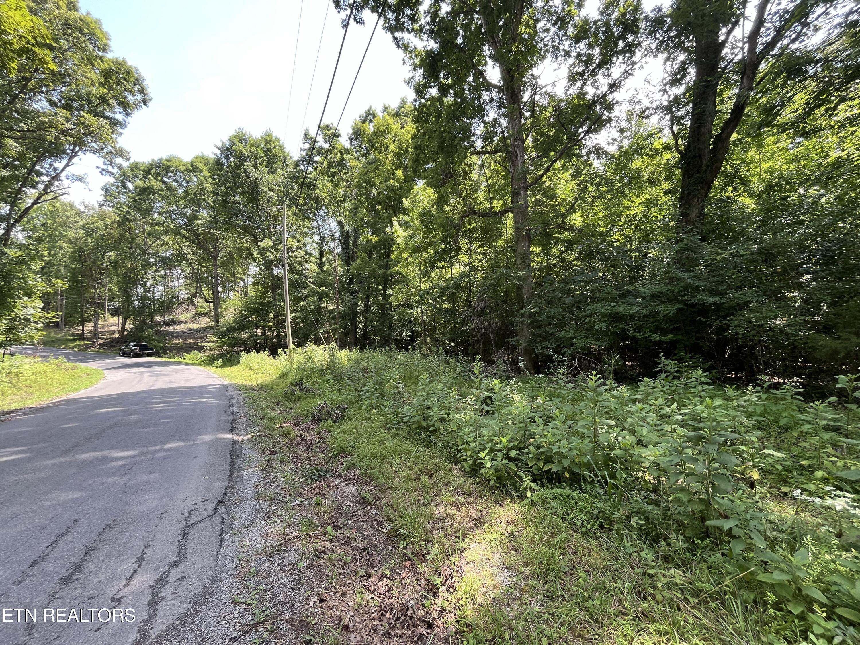 00 Scenic Lakeview Drive Spring City TN 37381