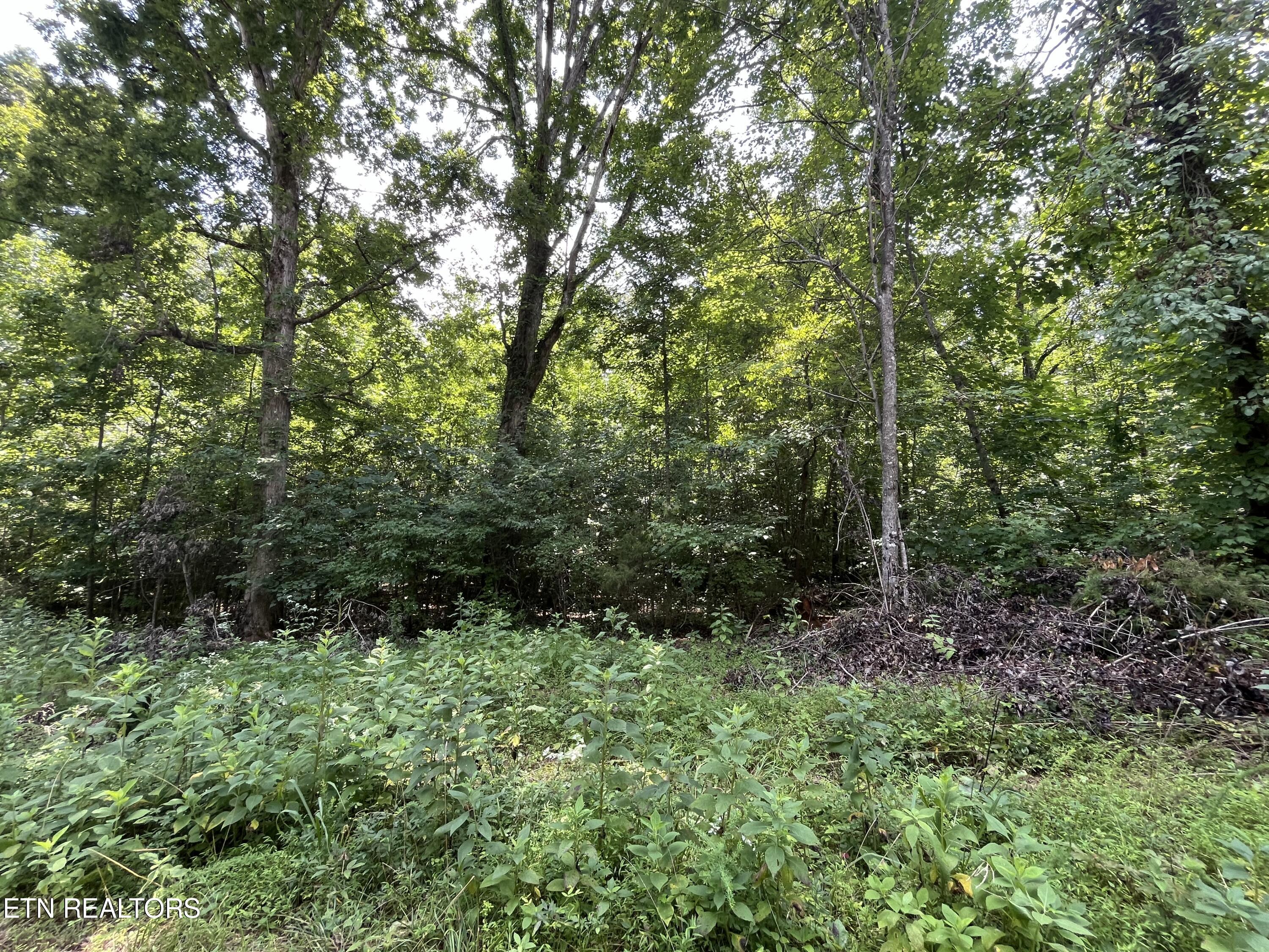 00 Scenic Lakeview Drive Spring City TN 37381