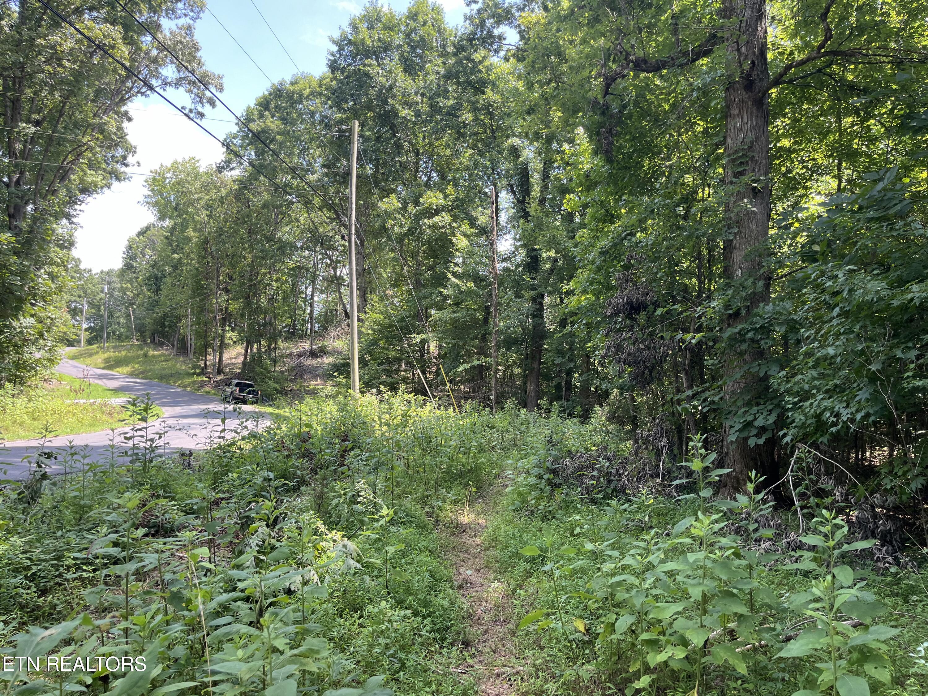 00 Scenic Lakeview Drive Spring City TN 37381