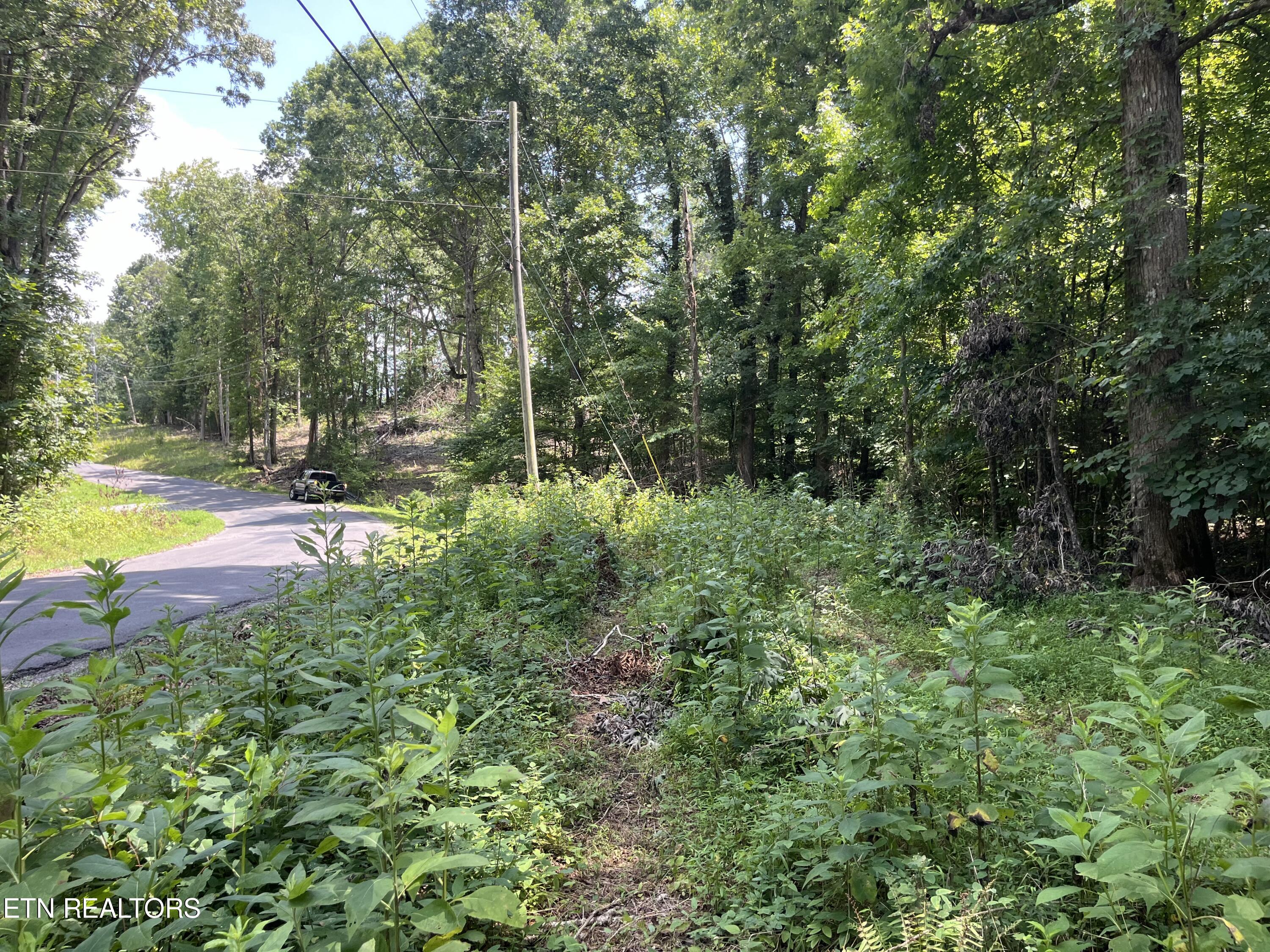 00 Scenic Lakeview Drive Spring City TN 37381