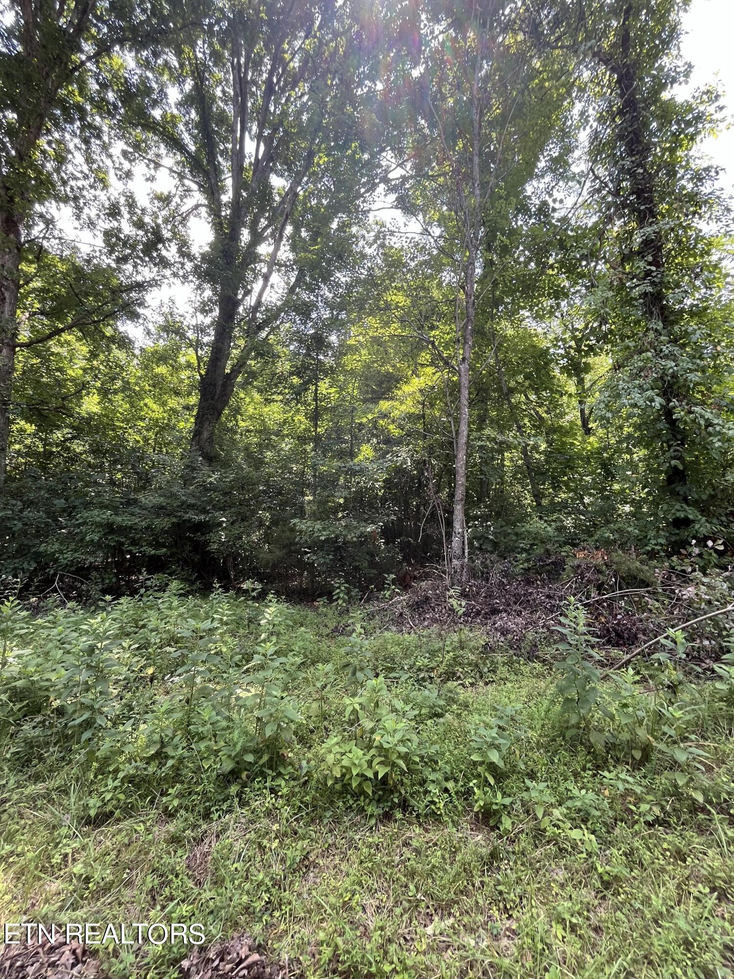00 Scenic Lakeview Drive Spring City TN 37381