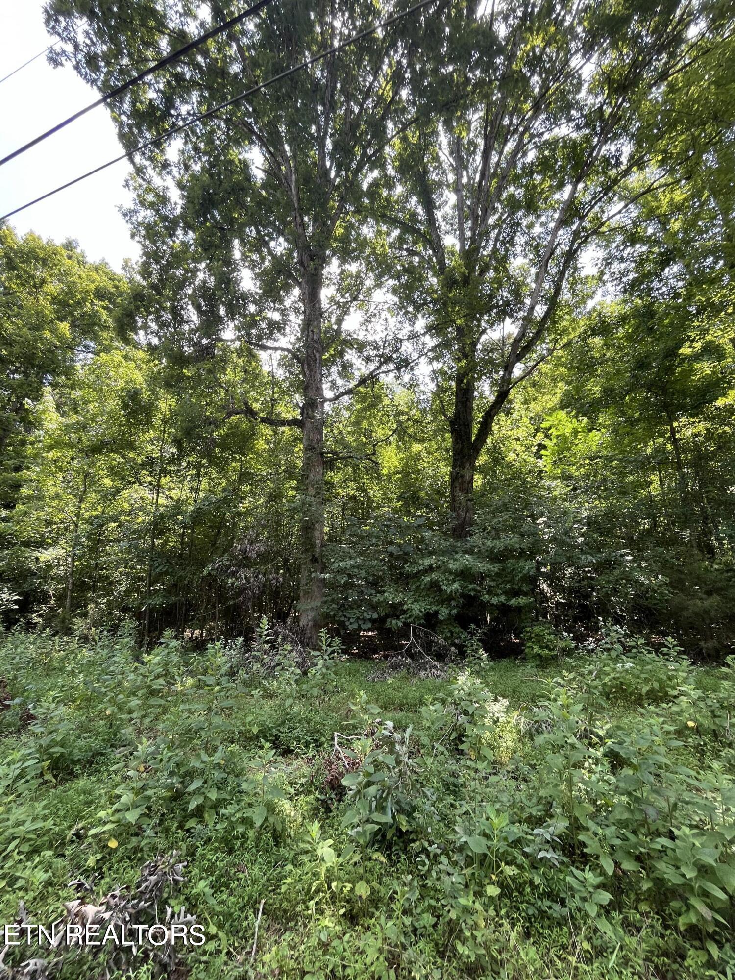 00 Scenic Lakeview Drive Spring City TN 37381