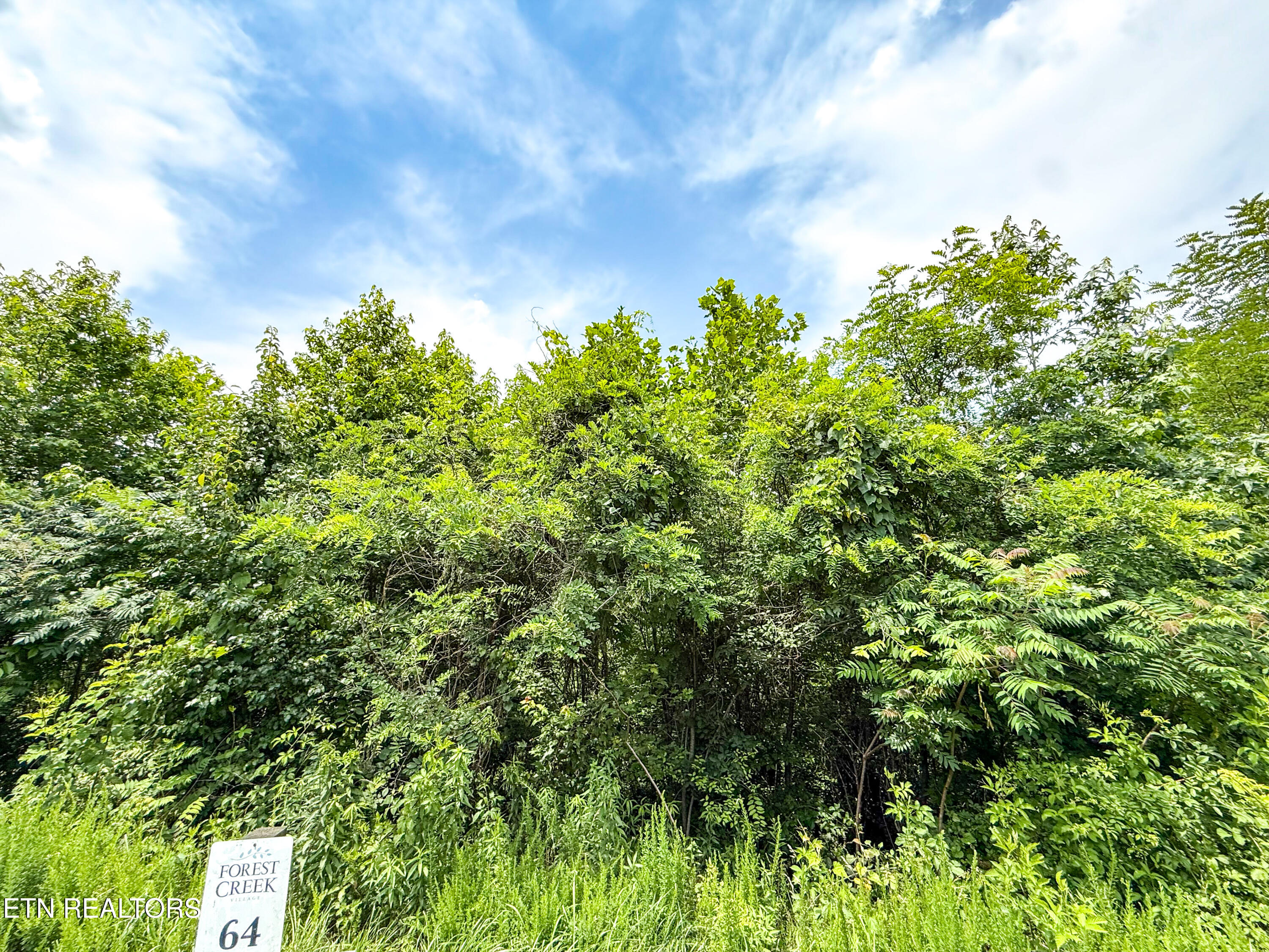 120 Willow Oak Drive Oak Ridge TN 37830