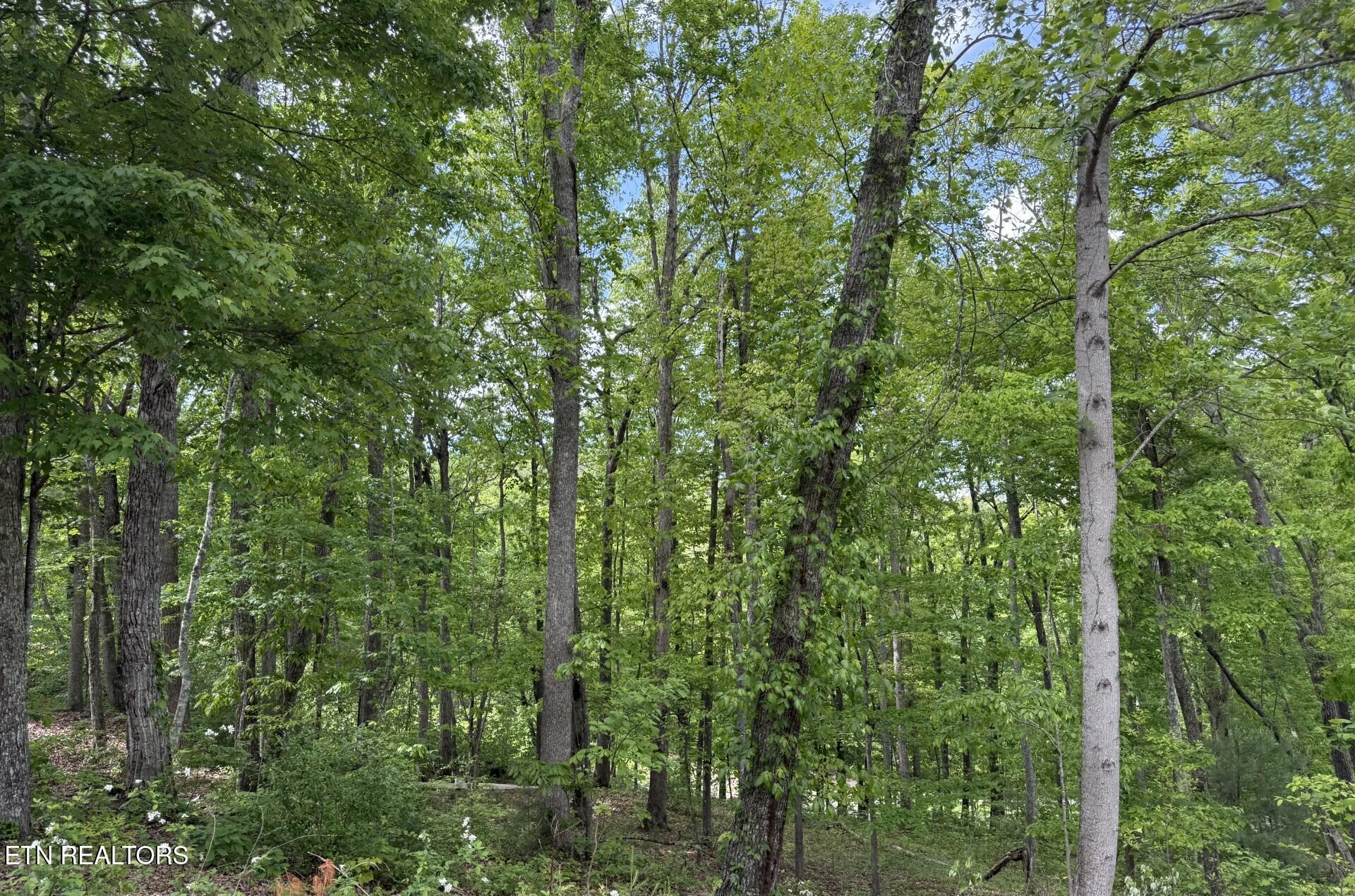 21 Claremont Circle Crossville TN 38558