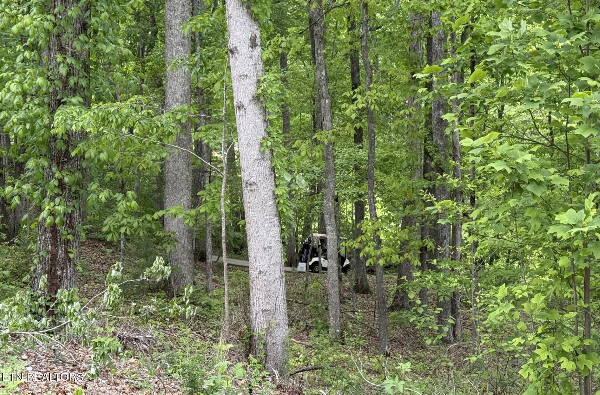 21 Claremont Circle Crossville TN 38558