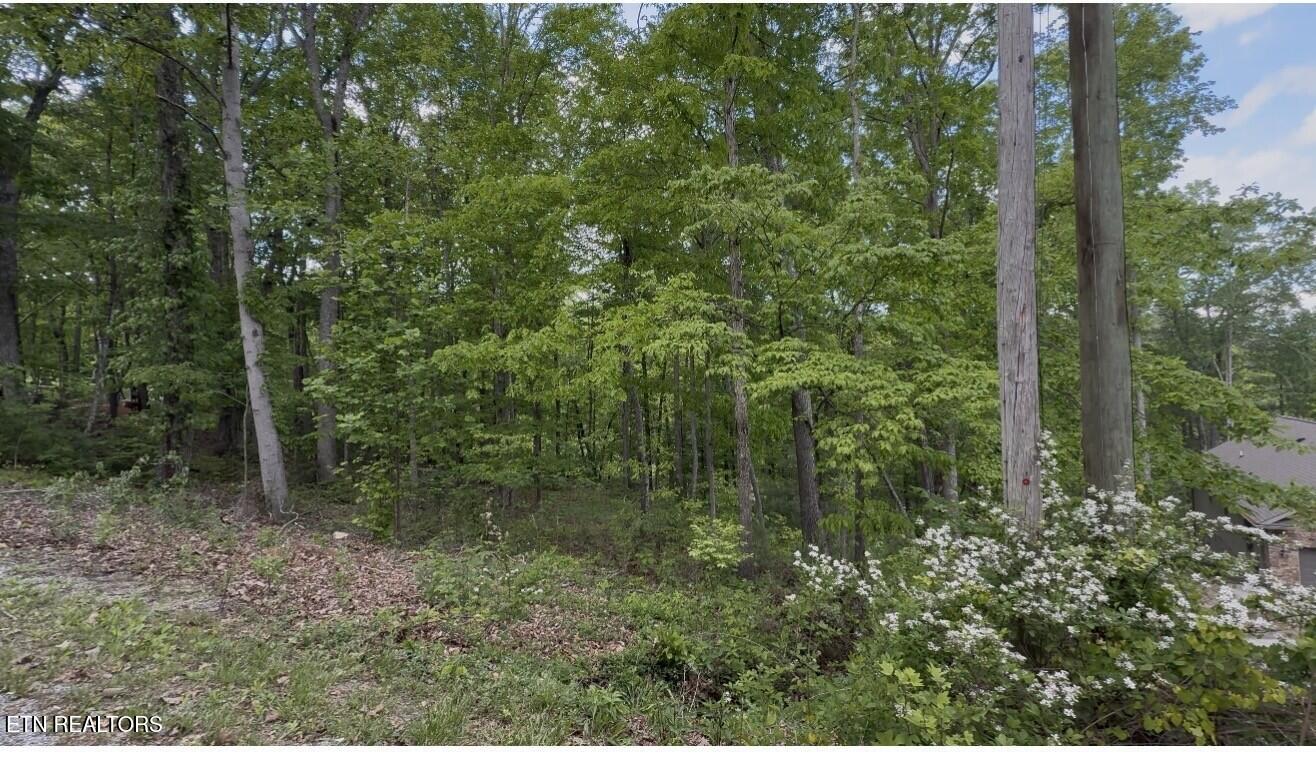 21 Claremont Circle Crossville TN 38558