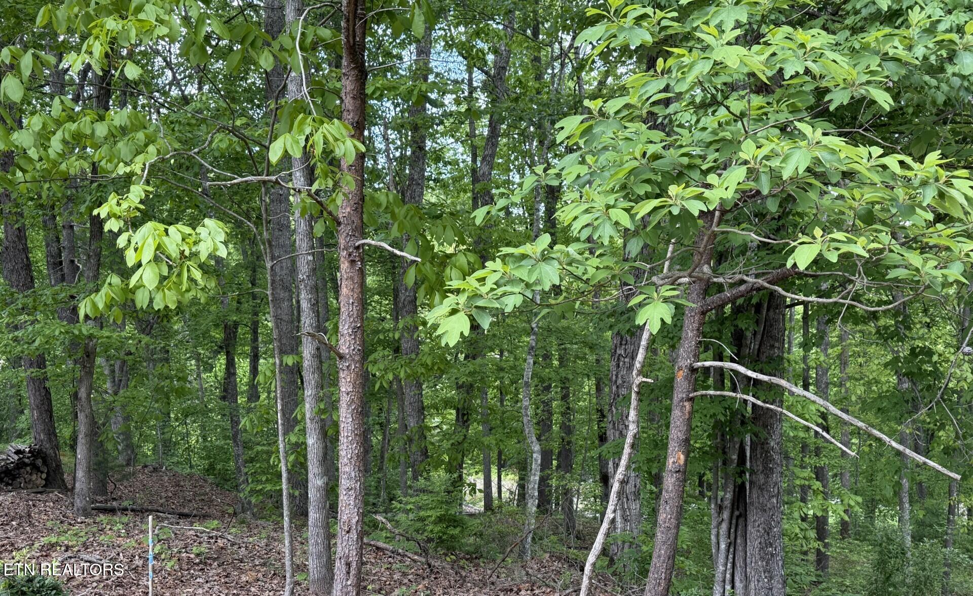 21 Claremont Circle Crossville TN 38558