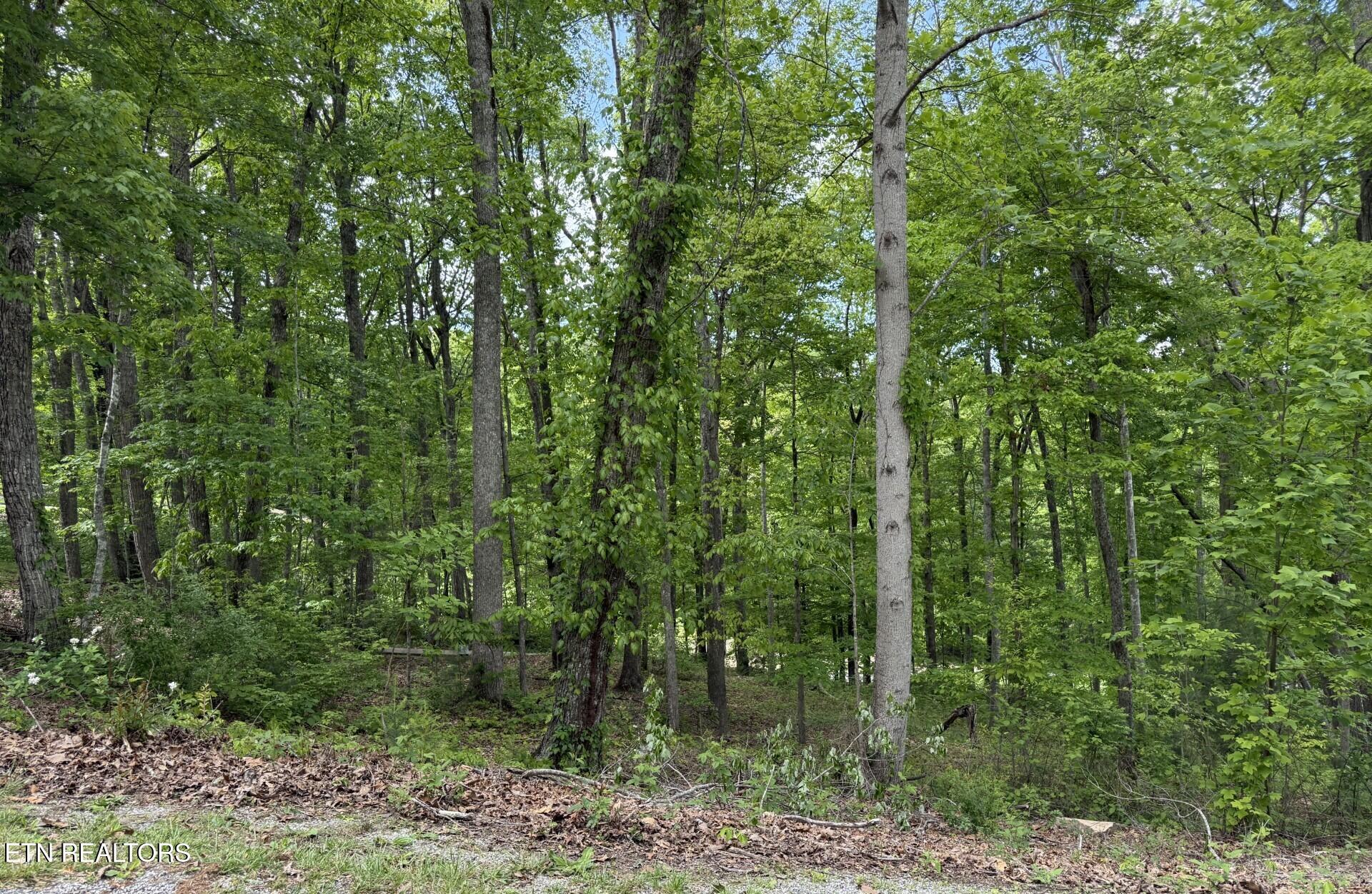 21 Claremont Circle Crossville TN 38558