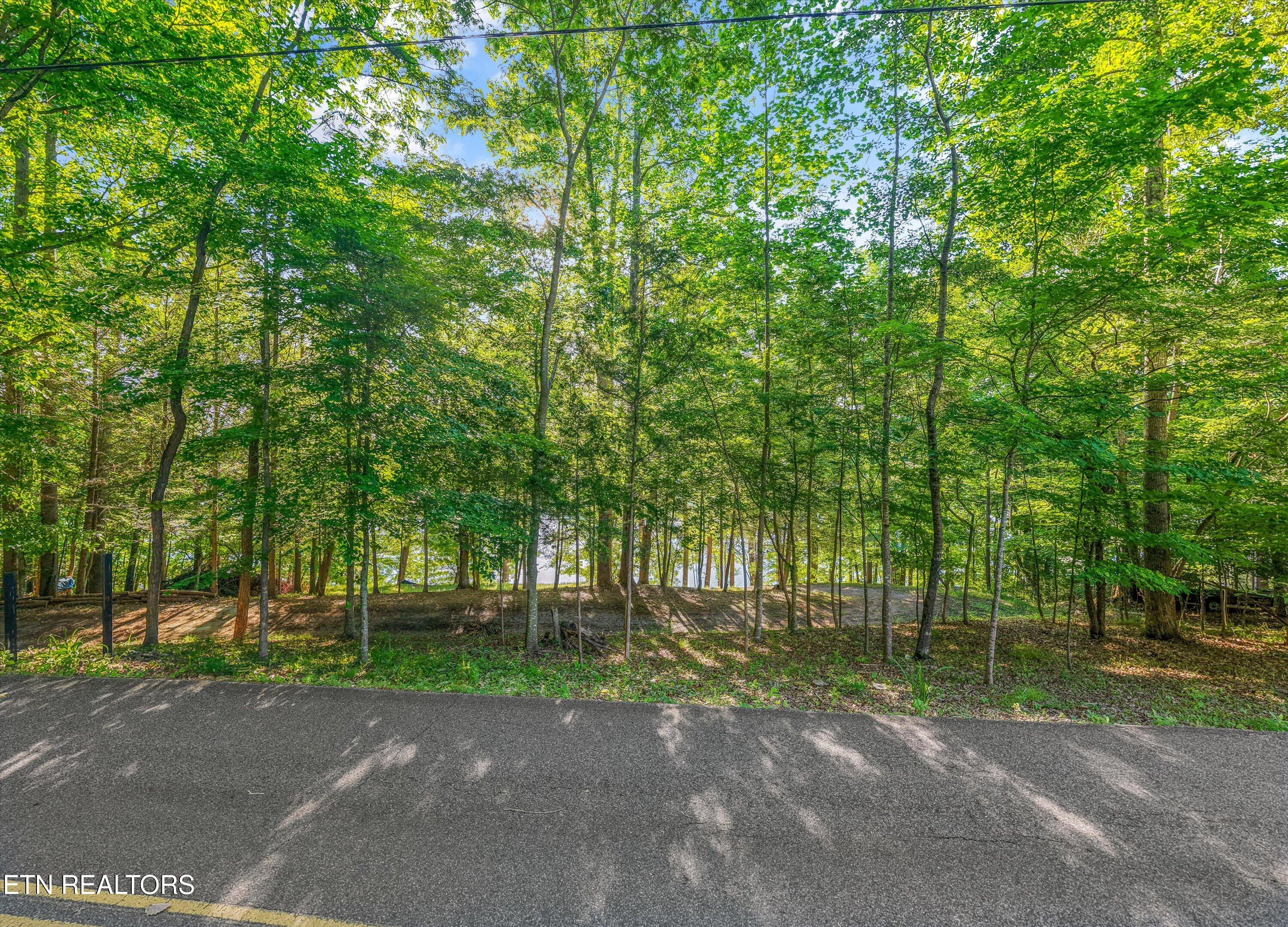 2076 Park Lane Andersonville TN 37705