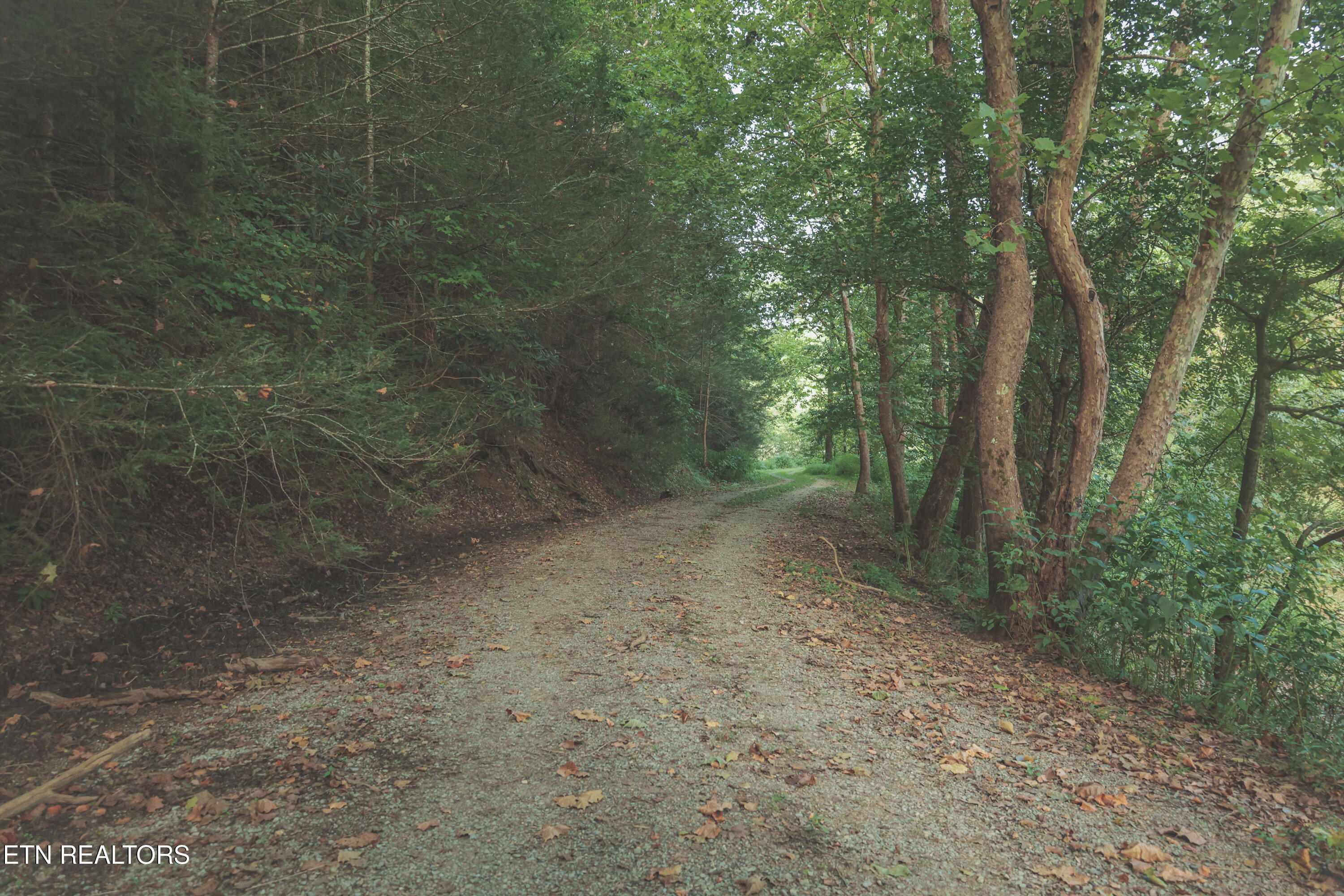 1634 Dixon Branch Road Sevierville TN 37876
