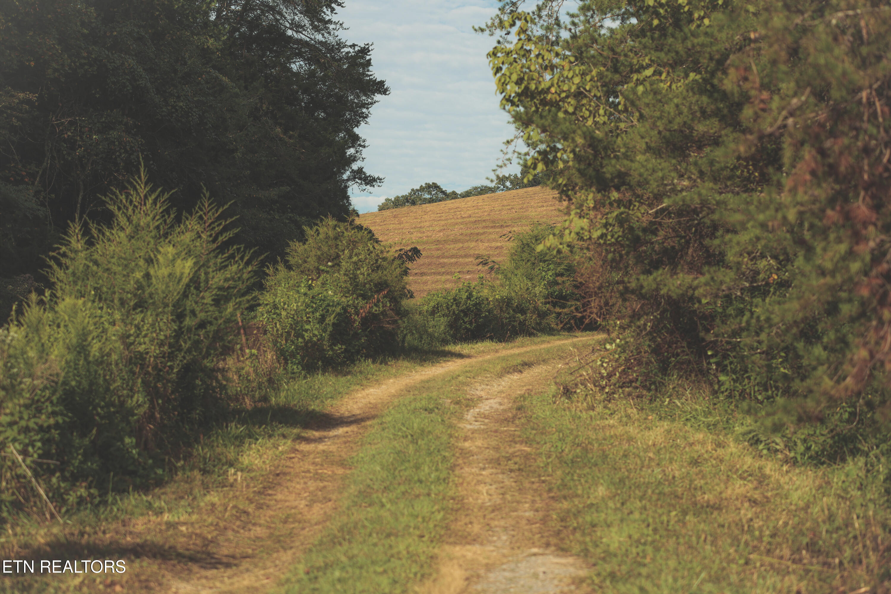 1634 Dixon Branch Road Sevierville TN 37876