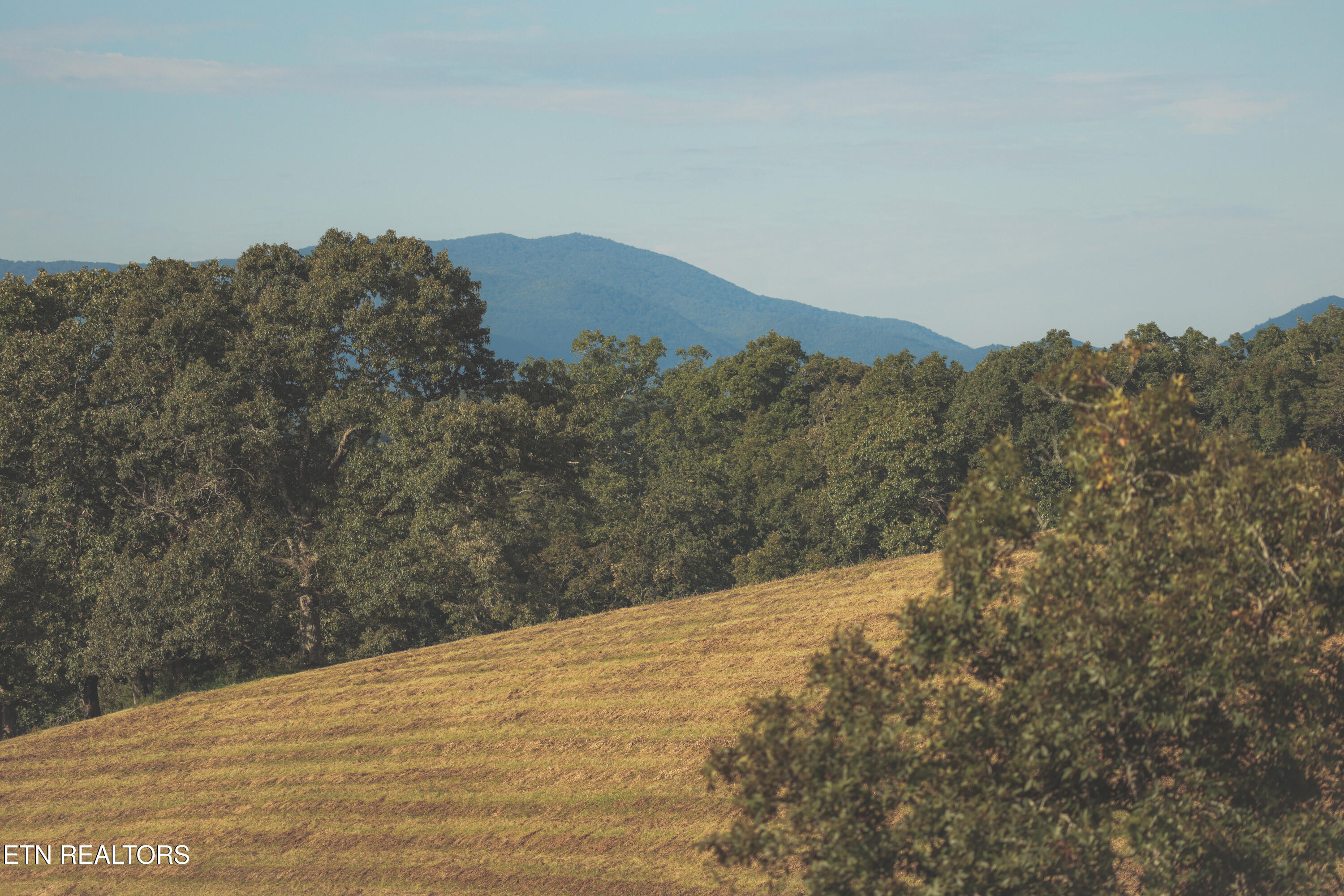 1634 Dixon Branch Road Sevierville TN 37876