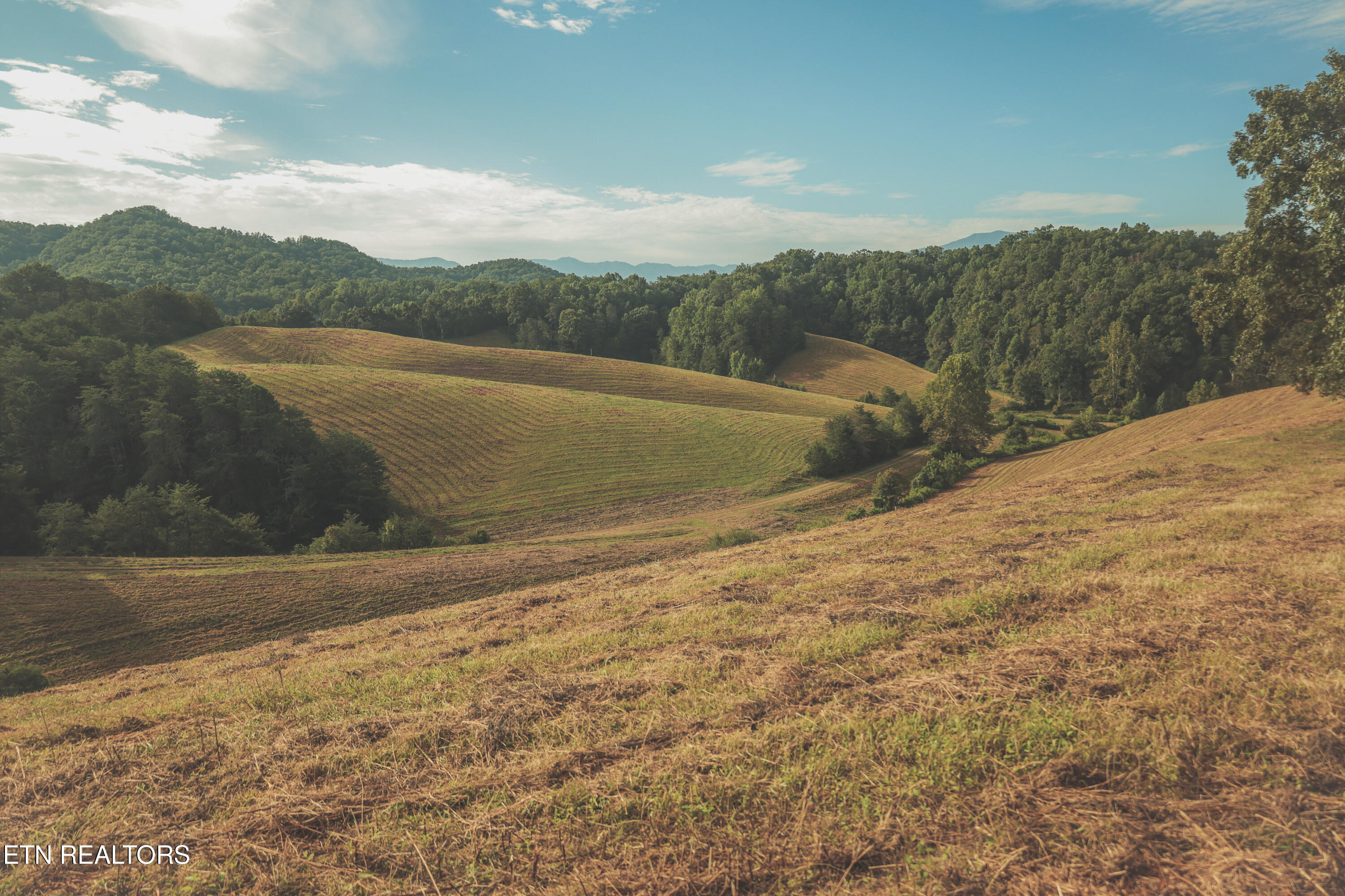 1634 Dixon Branch Road Sevierville TN 37876