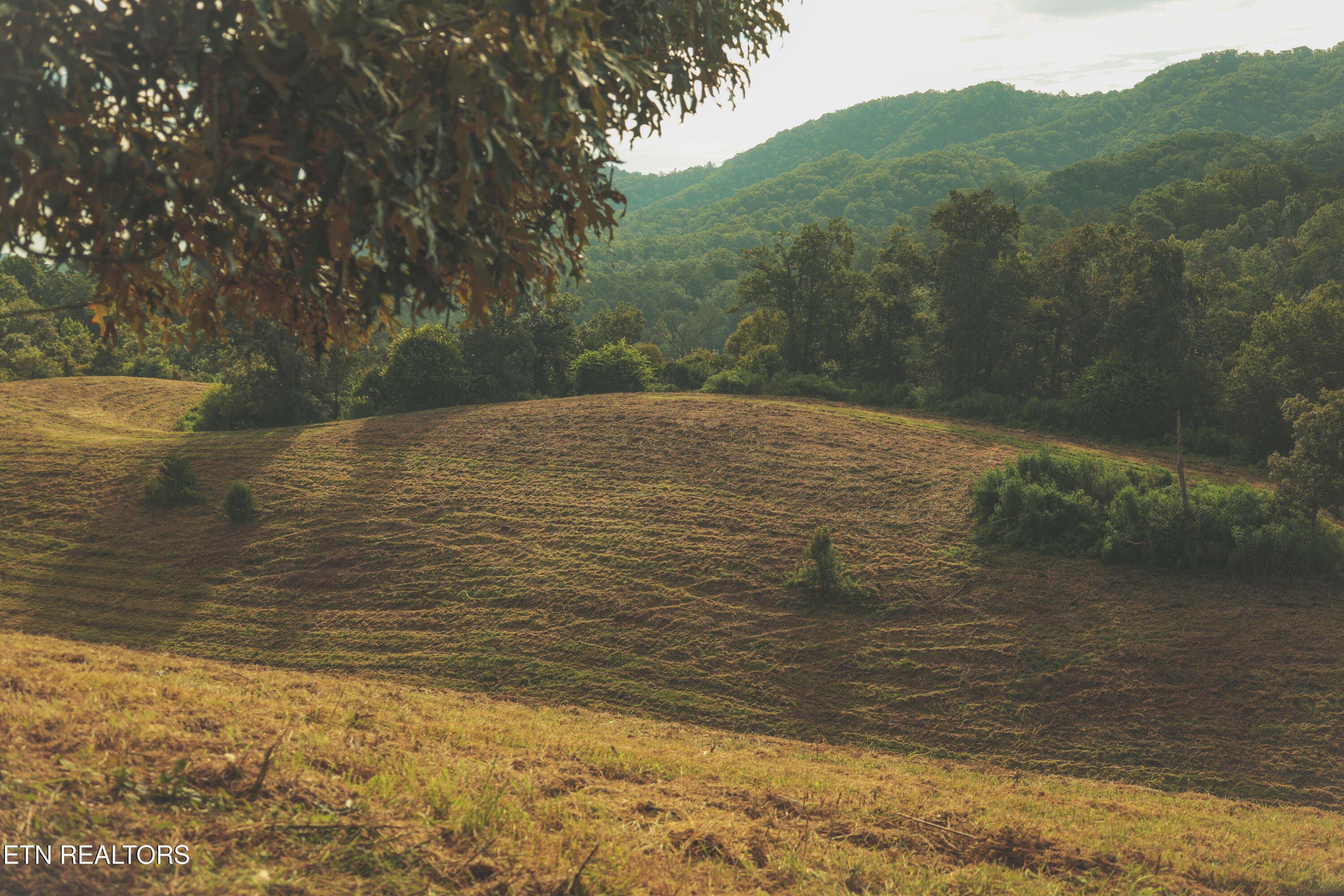 1634 Dixon Branch Road Sevierville TN 37876