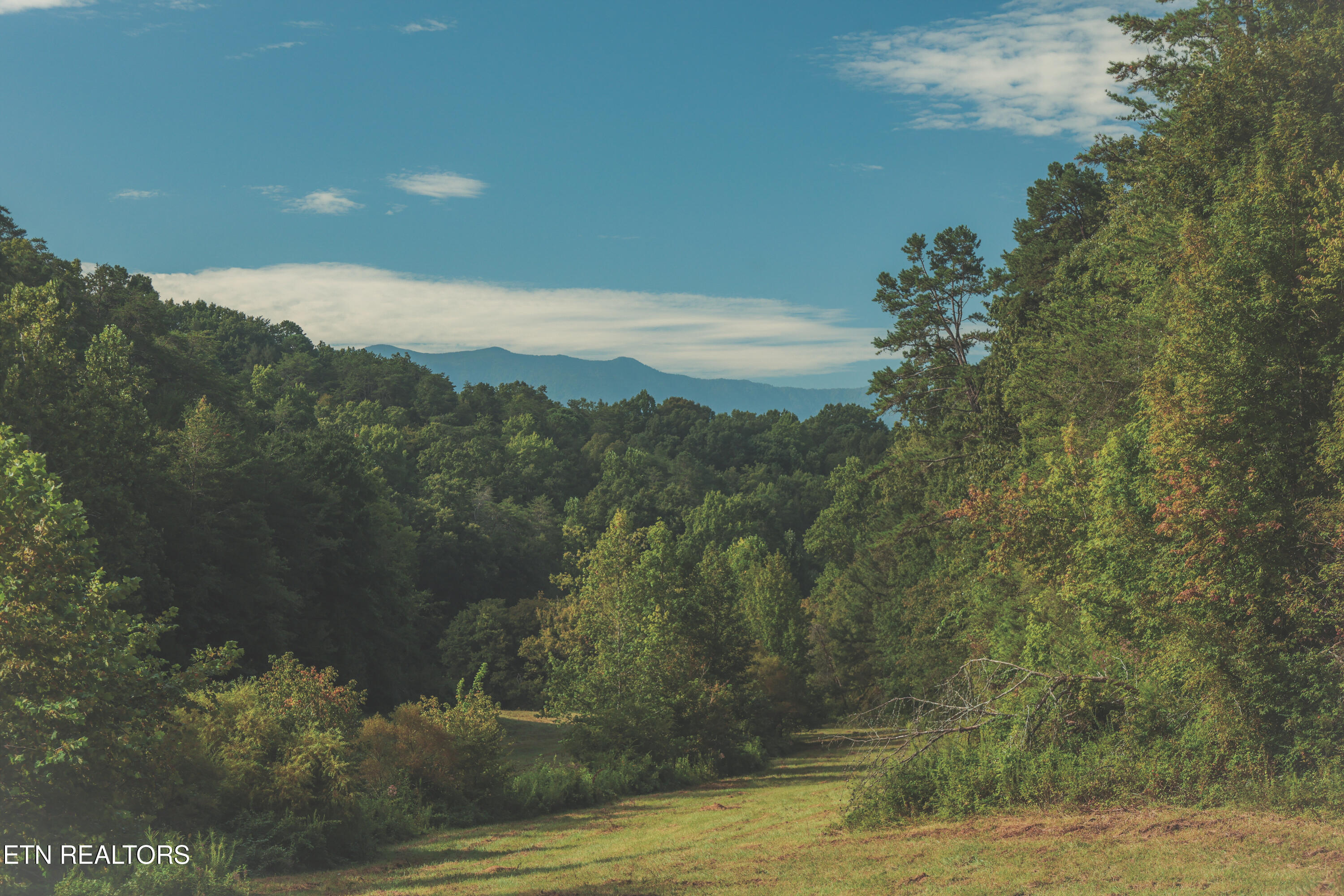 1634 Dixon Branch Road Sevierville TN 37876
