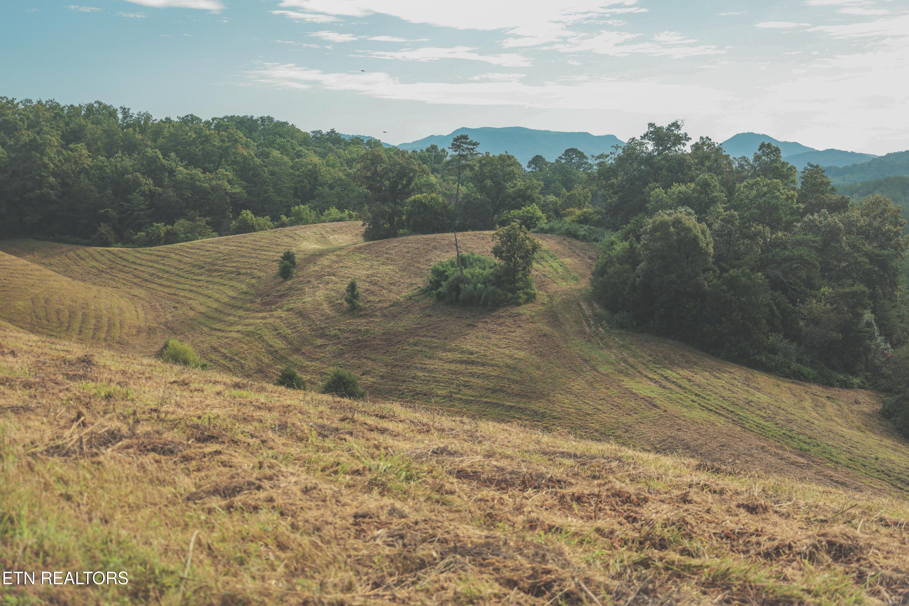 1634 Dixon Branch Road Sevierville TN 37876
