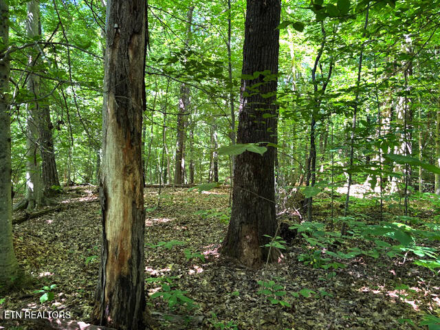 0 Topside Road Knoxville TN 37920