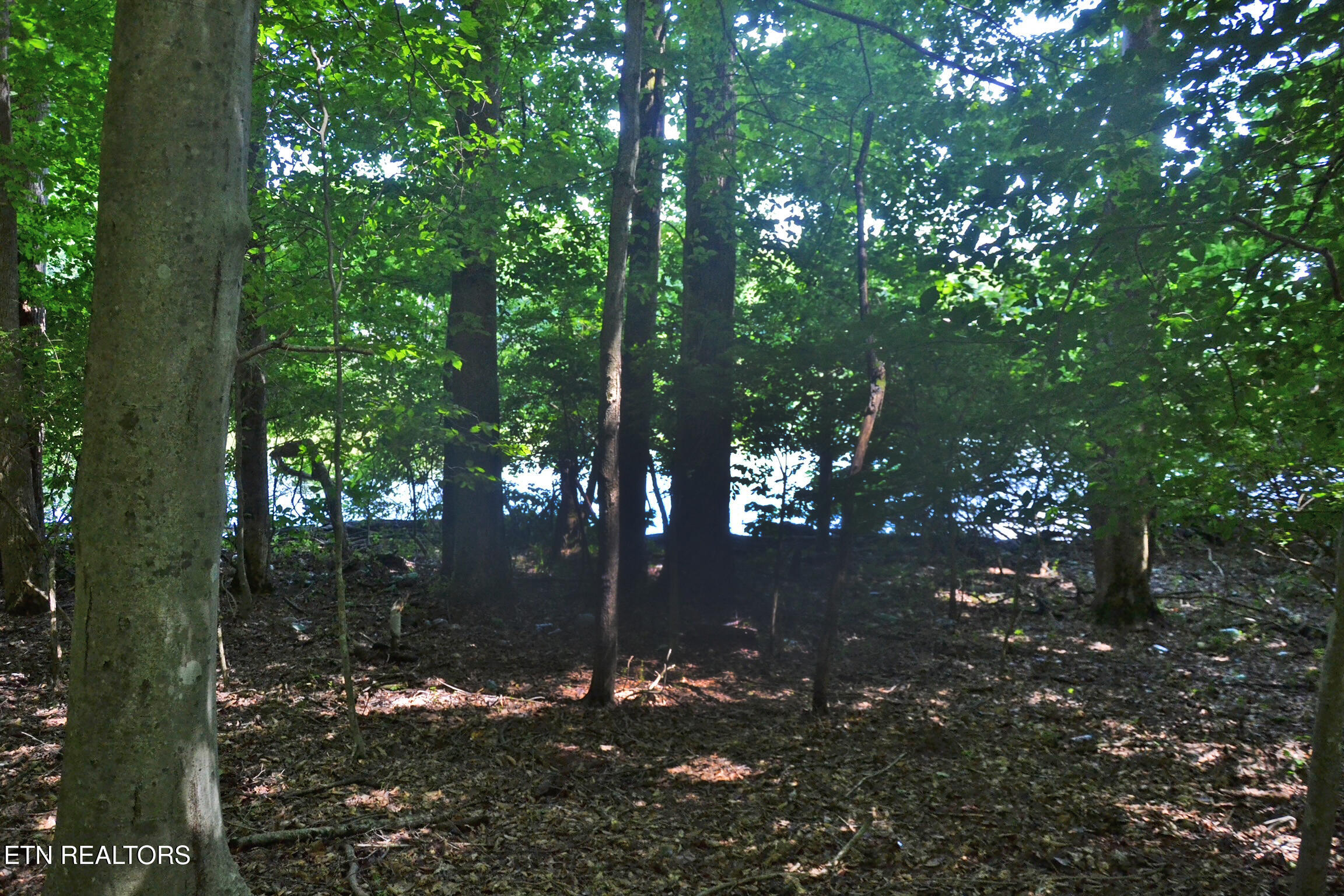 0 Topside Road Knoxville TN 37920