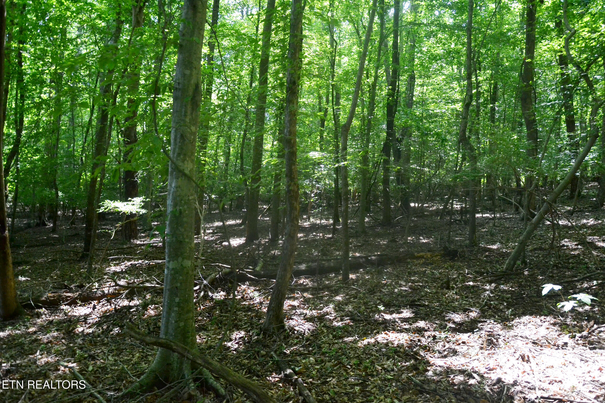 0 Topside Road Knoxville TN 37920