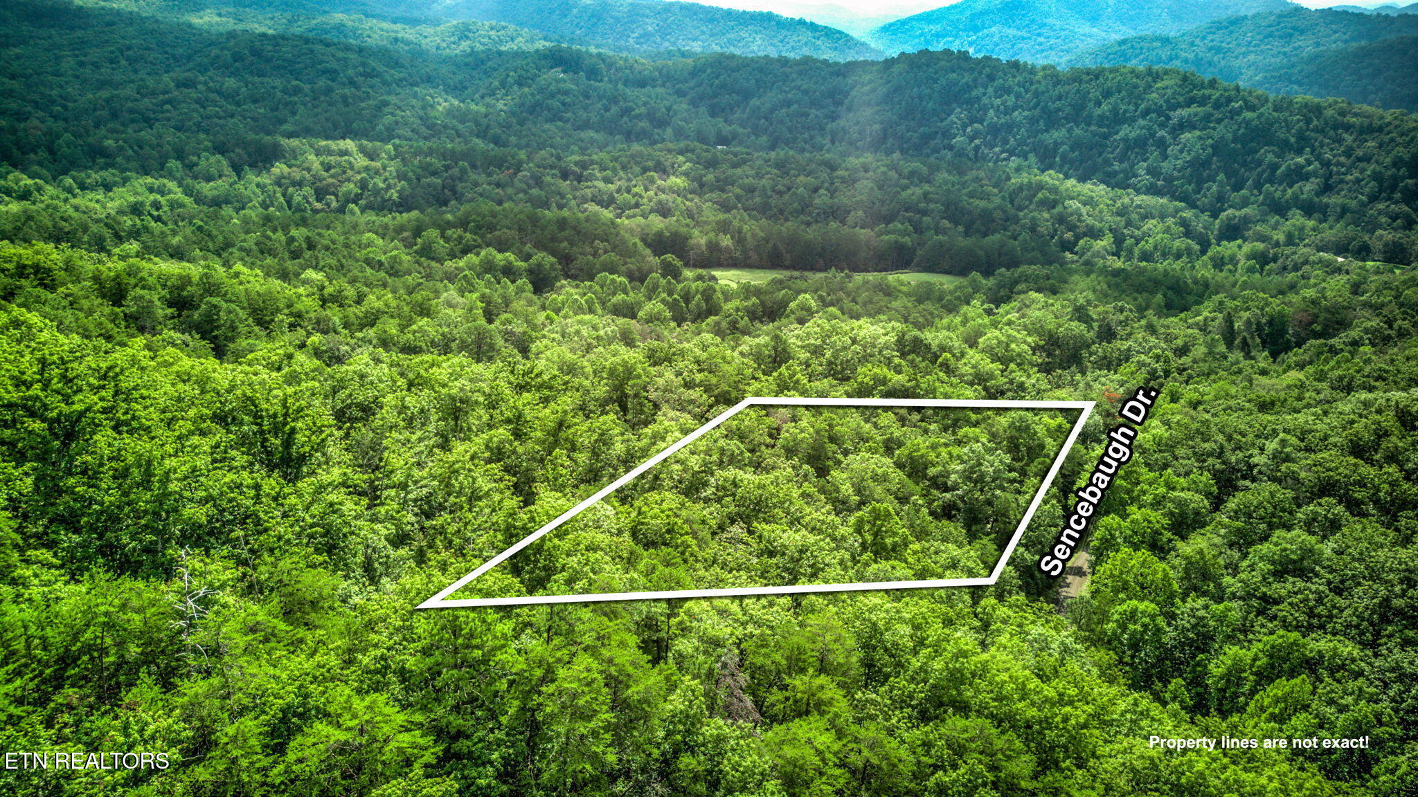 Sencebaugh Drive Sevierville TN 37876