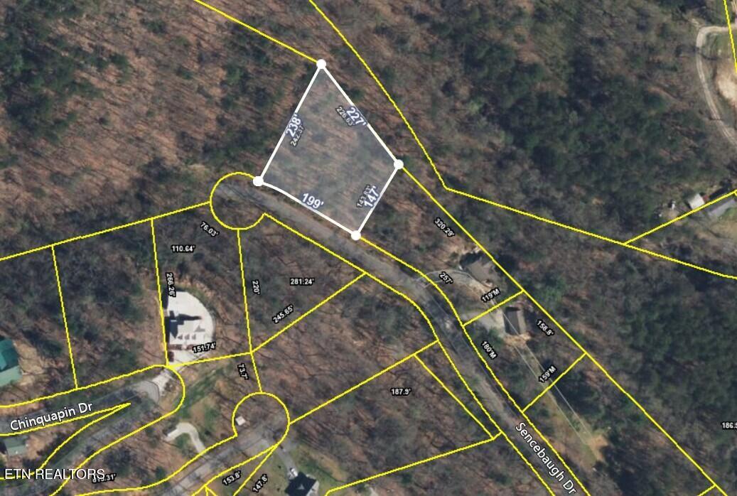 Sencebaugh Drive Sevierville TN 37876