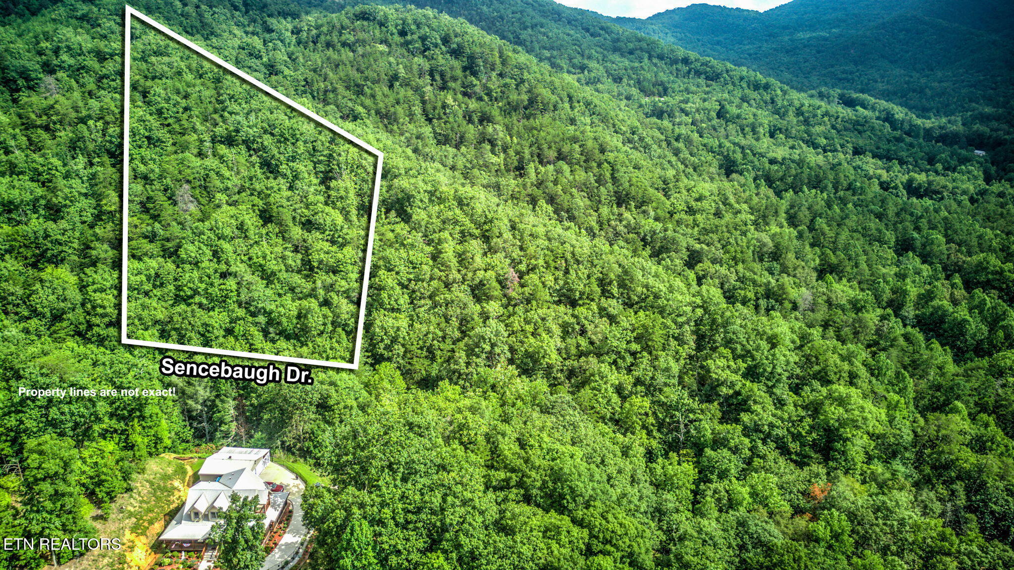 Sencebaugh Drive Sevierville TN 37876