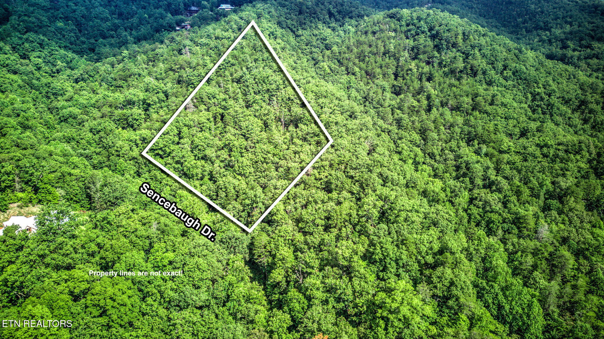 Sencebaugh Drive Sevierville TN 37876