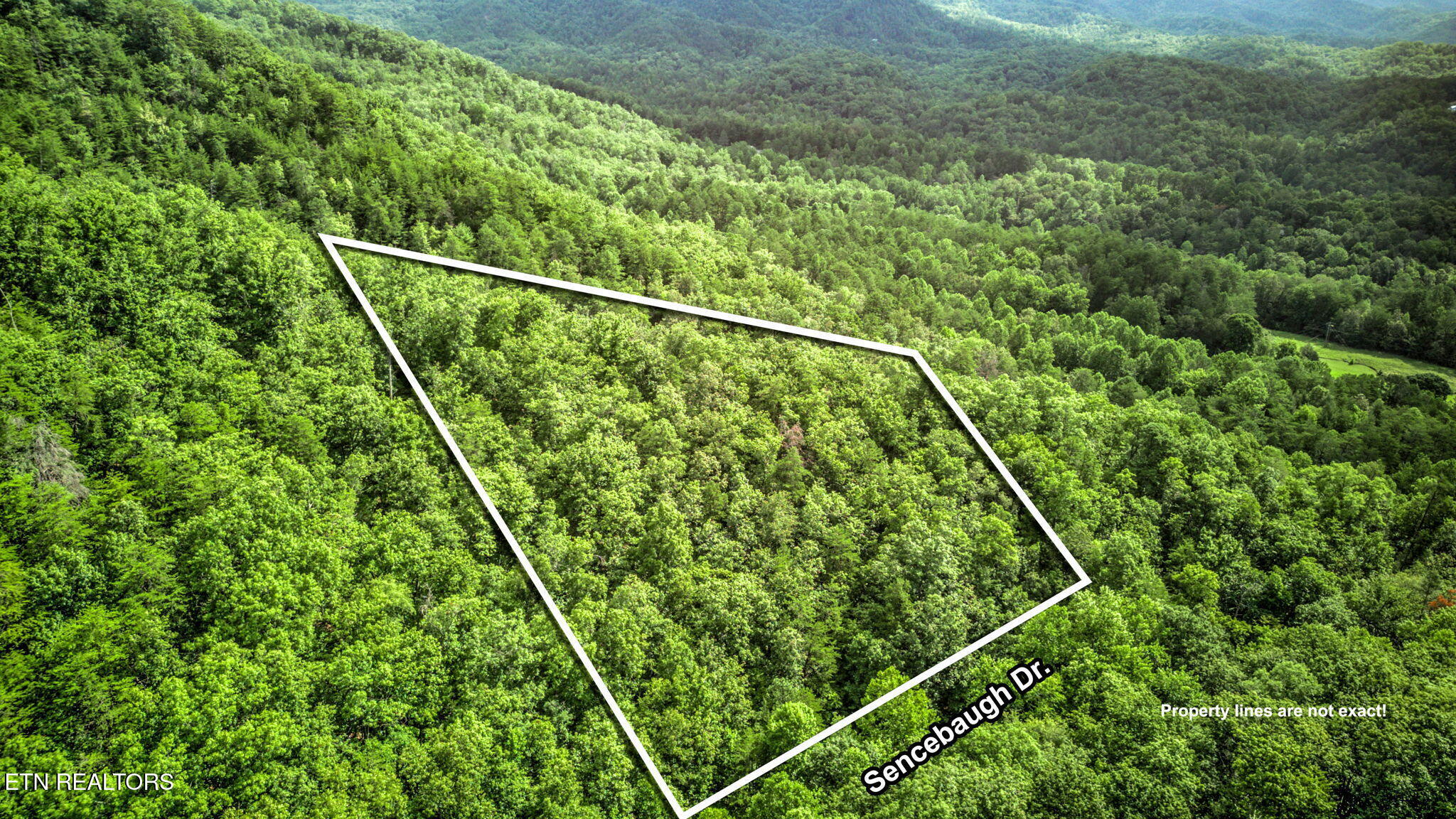 Sencebaugh Drive Sevierville TN 37876