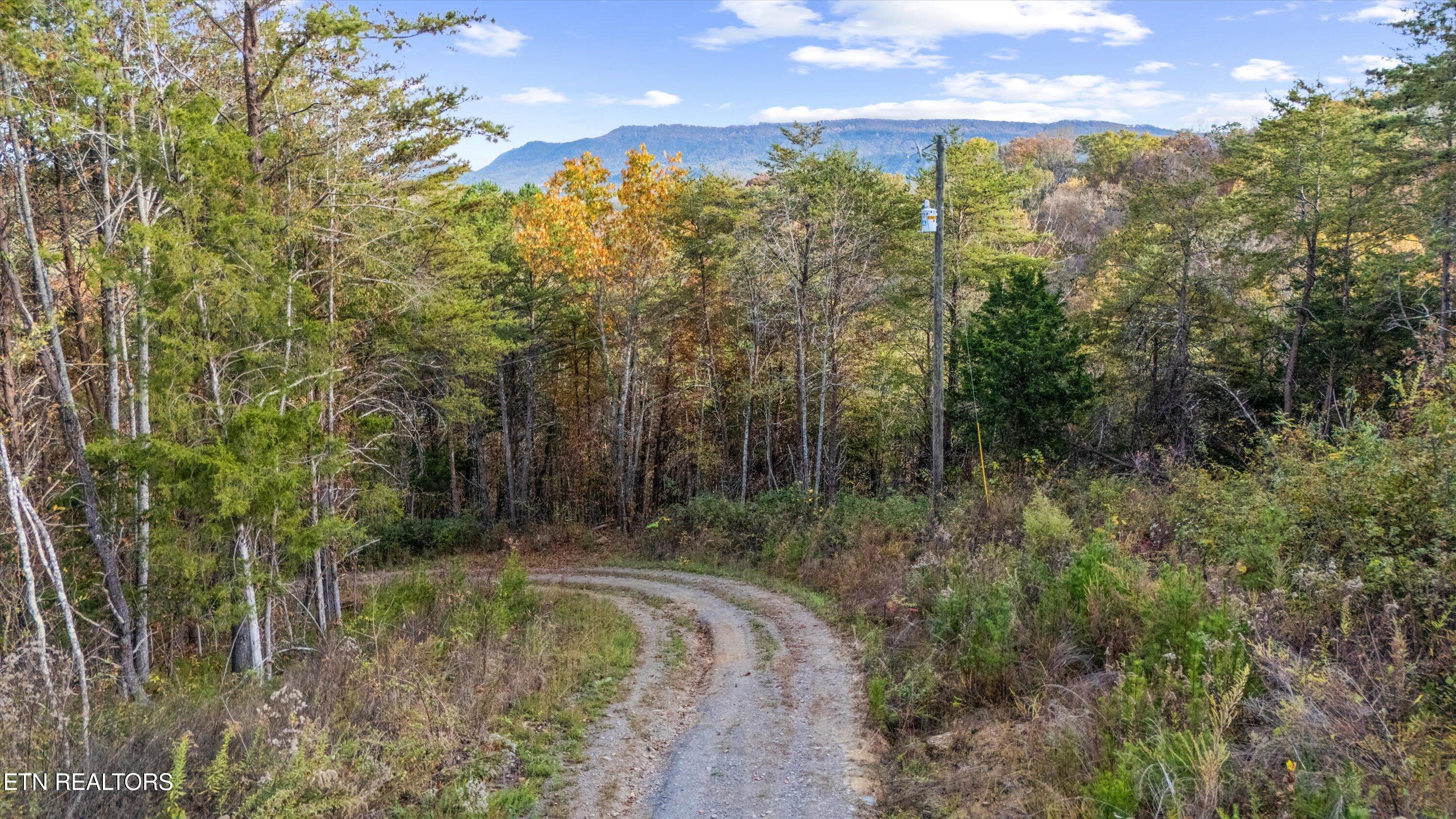 703 N Knob Creek Road Seymour TN 37865