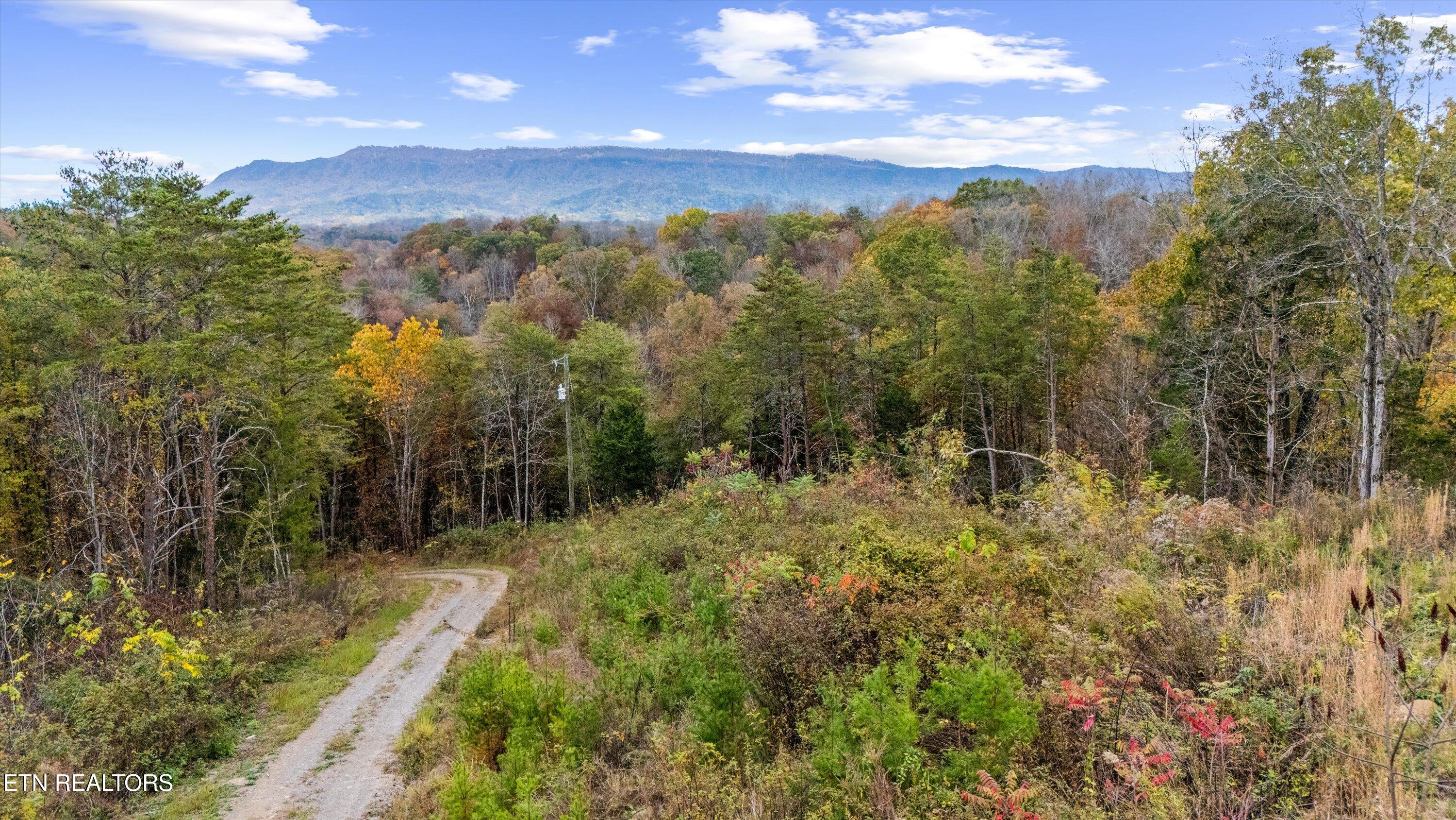 703 N Knob Creek Road Seymour TN 37865