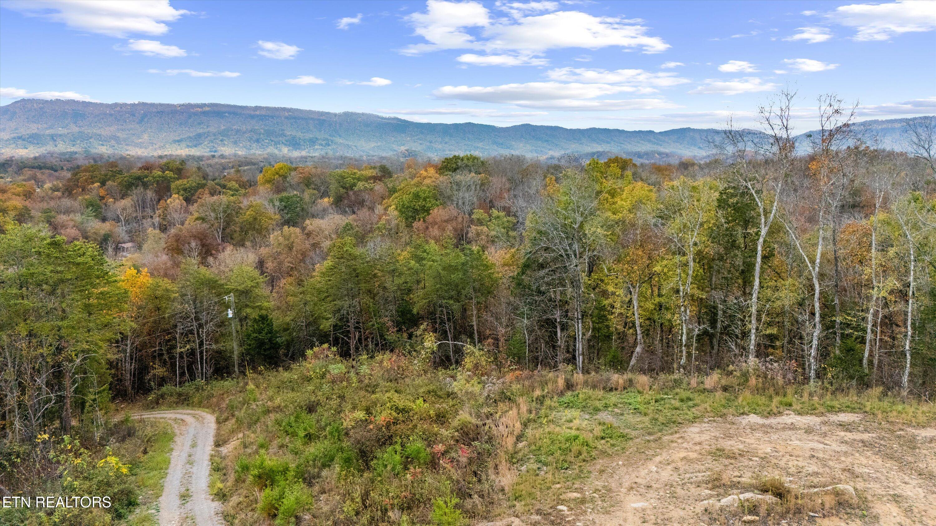 703 N Knob Creek Road Seymour TN 37865