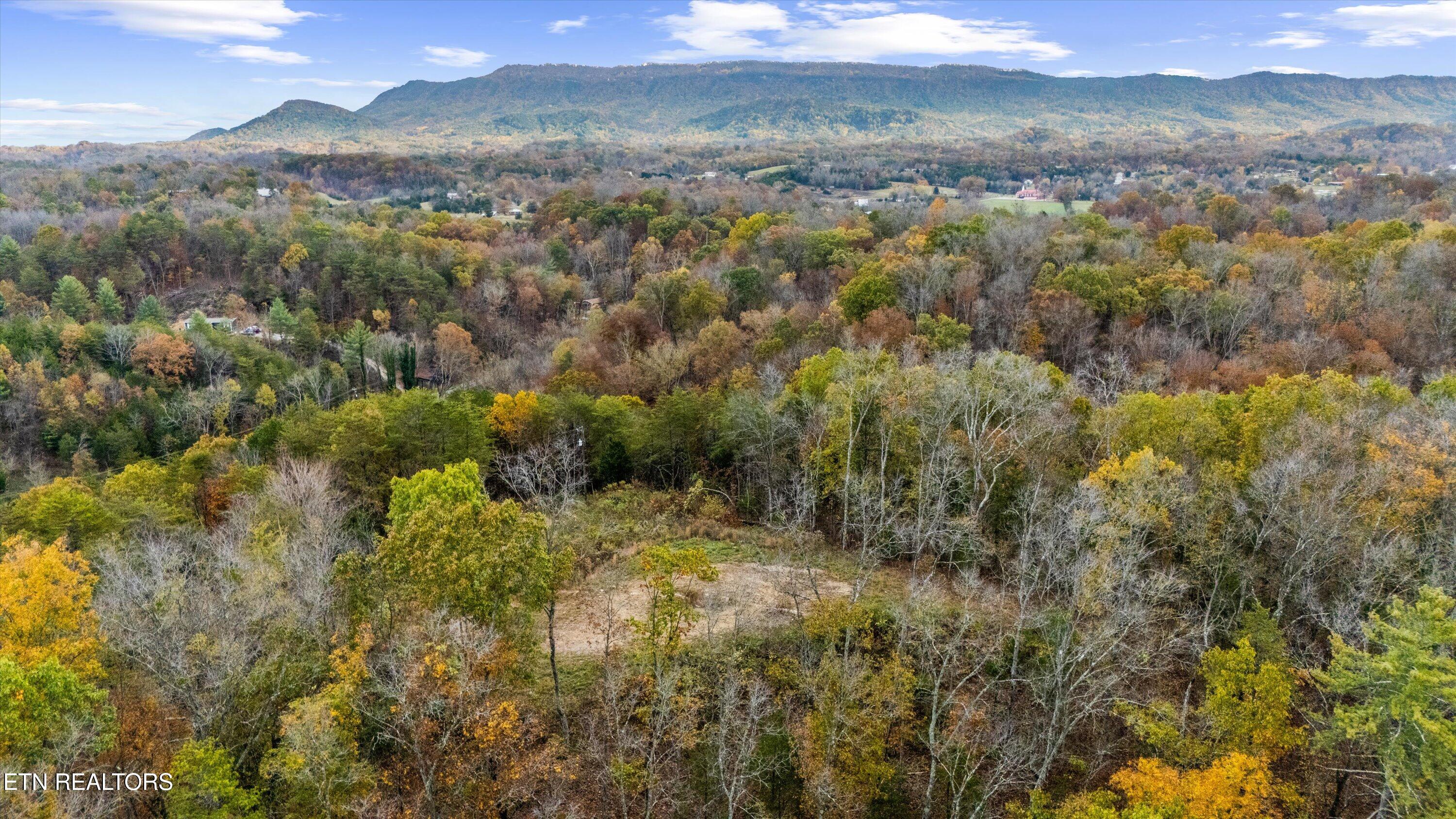703 N Knob Creek Road Seymour TN 37865